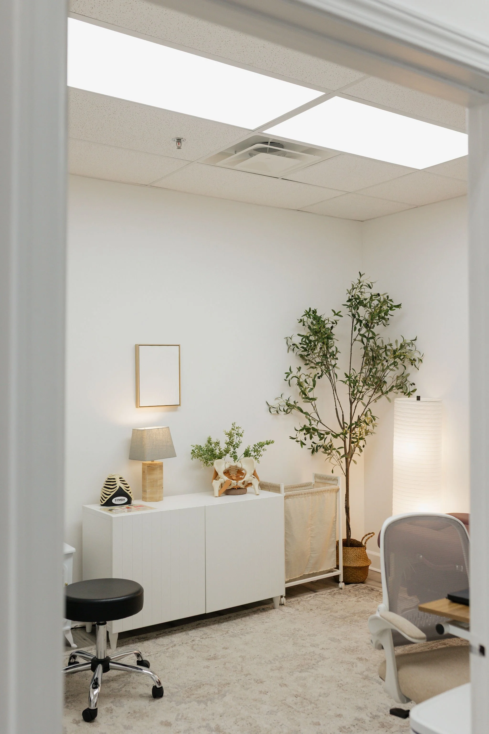 Barbelle Pelvic Rehab, best pelvic floor physical therapy, Canton Georgia, Woodstock Georgia, Holly Springs GA