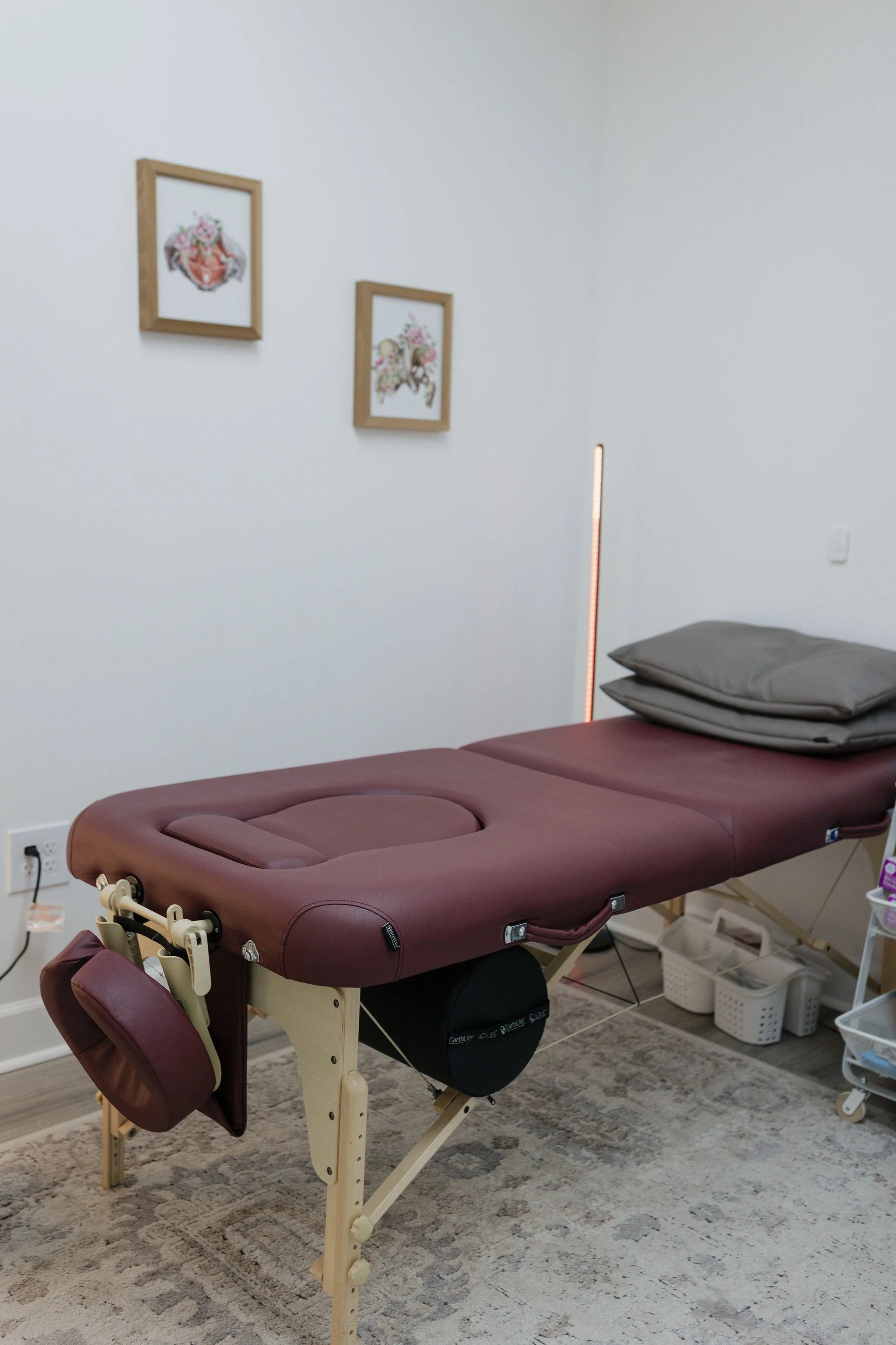 Best pelvic floor physical therapy near me, canton georgia, woodstock georgia, holly Springs GA, barbelle pelvic rehab.