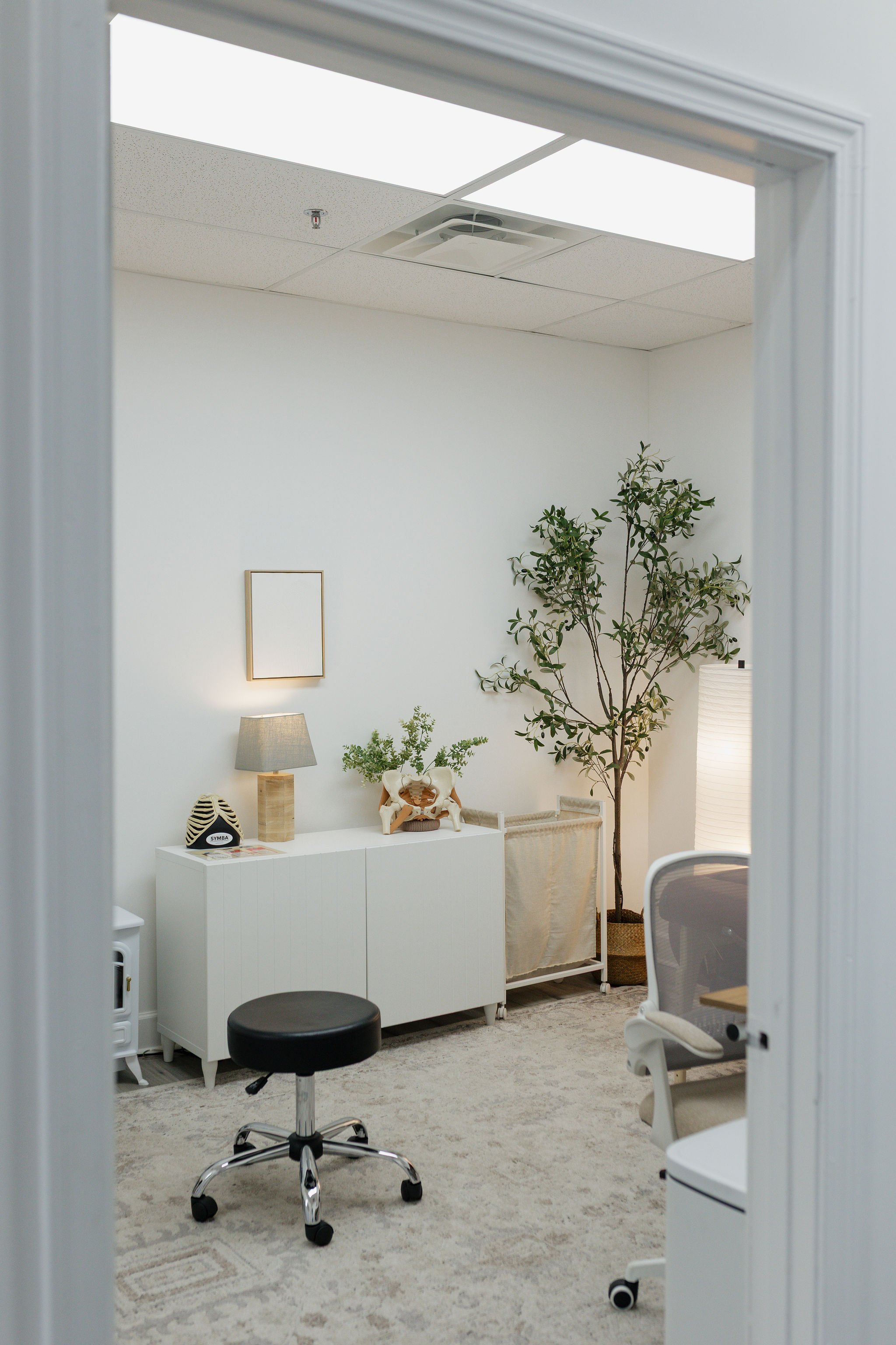 Barbelle Pelvic Rehab, best pelvic floor physical therapy, Canton Georgia, Woodstock Georgia, Holly Springs GA