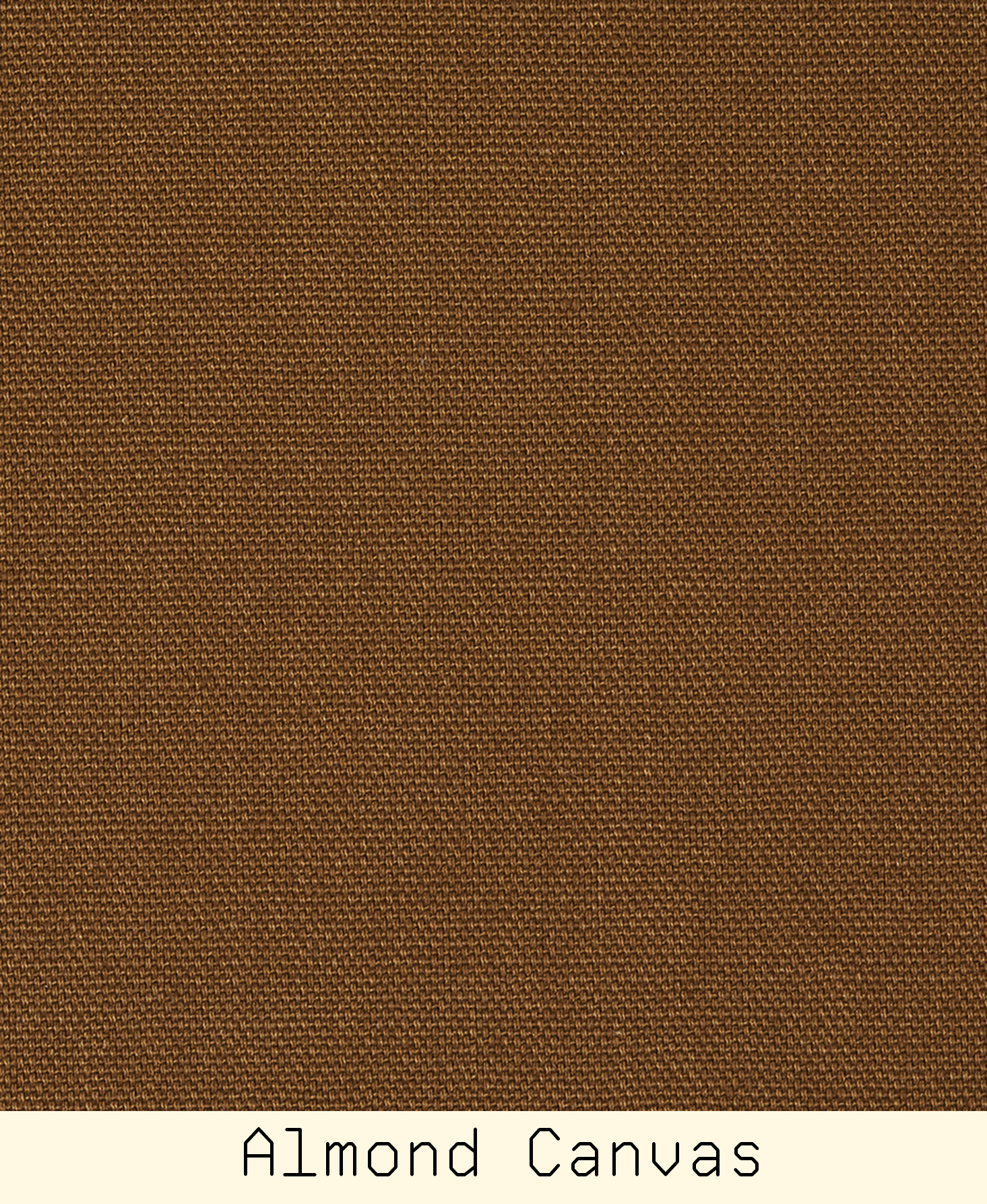 ALMOND CANVAS.png