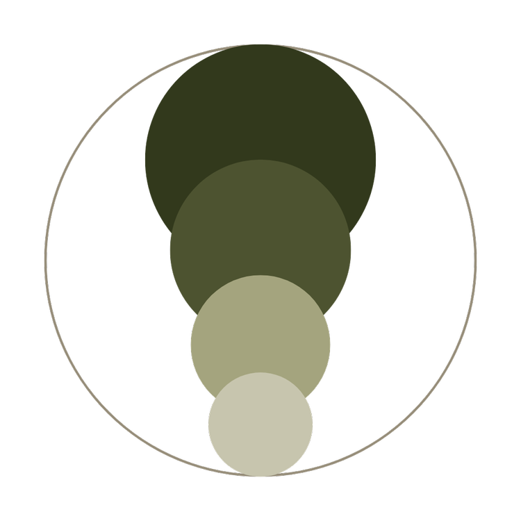 Phase One Icon