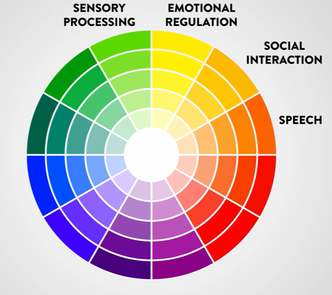 Understanding Autism Support Levels Using a Spectrum Wheel