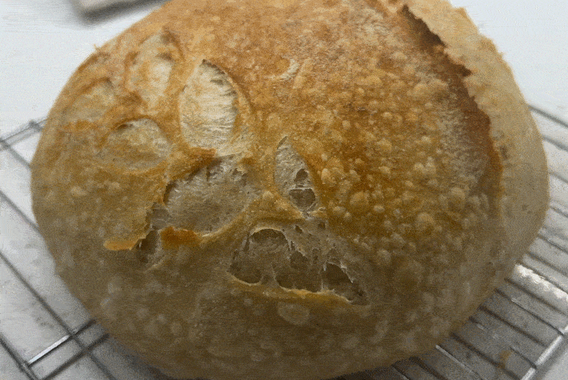 Classic Sourdough.gif