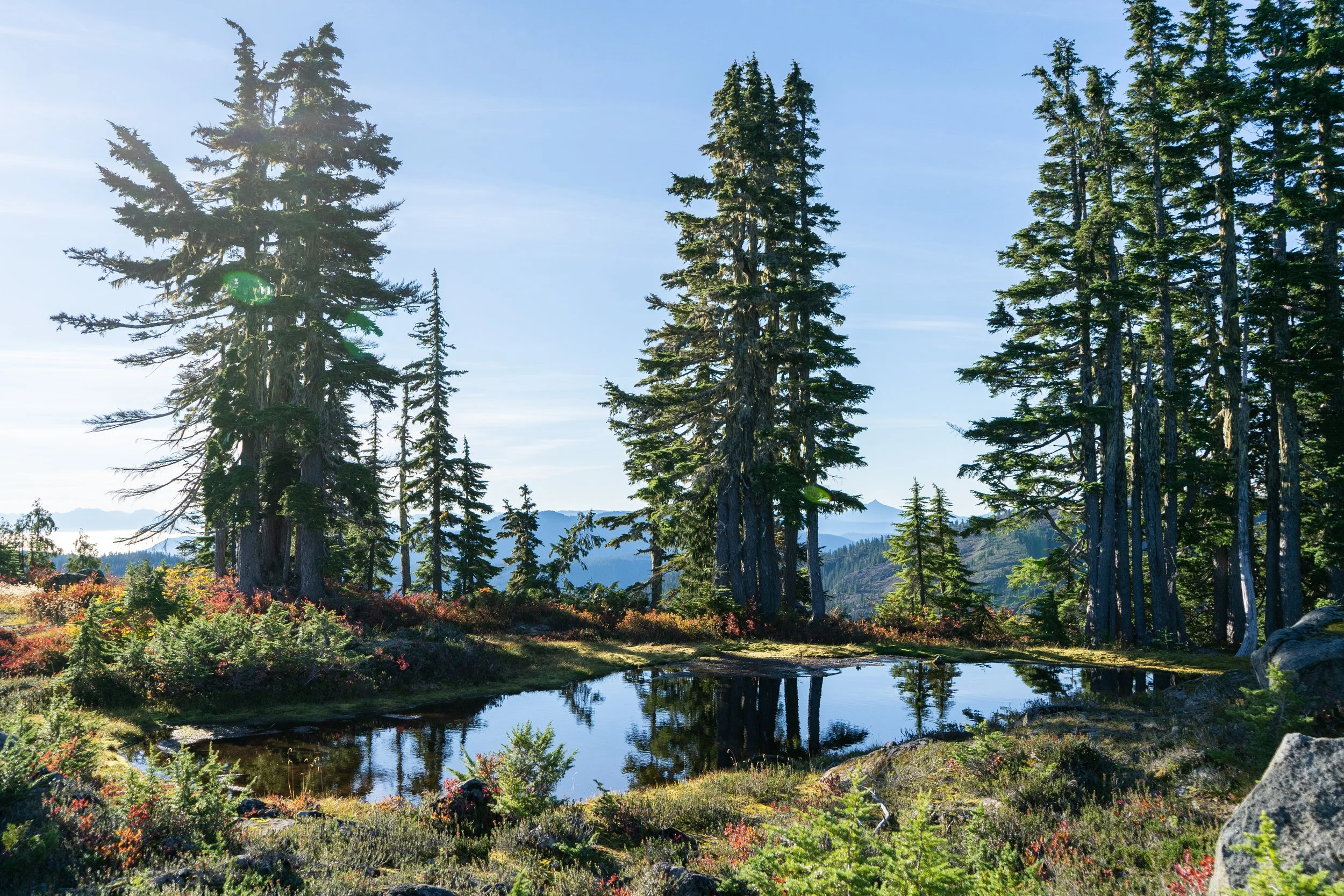 SRaeHarrissPhoto_05102025_Comox Glacier-03.jpg