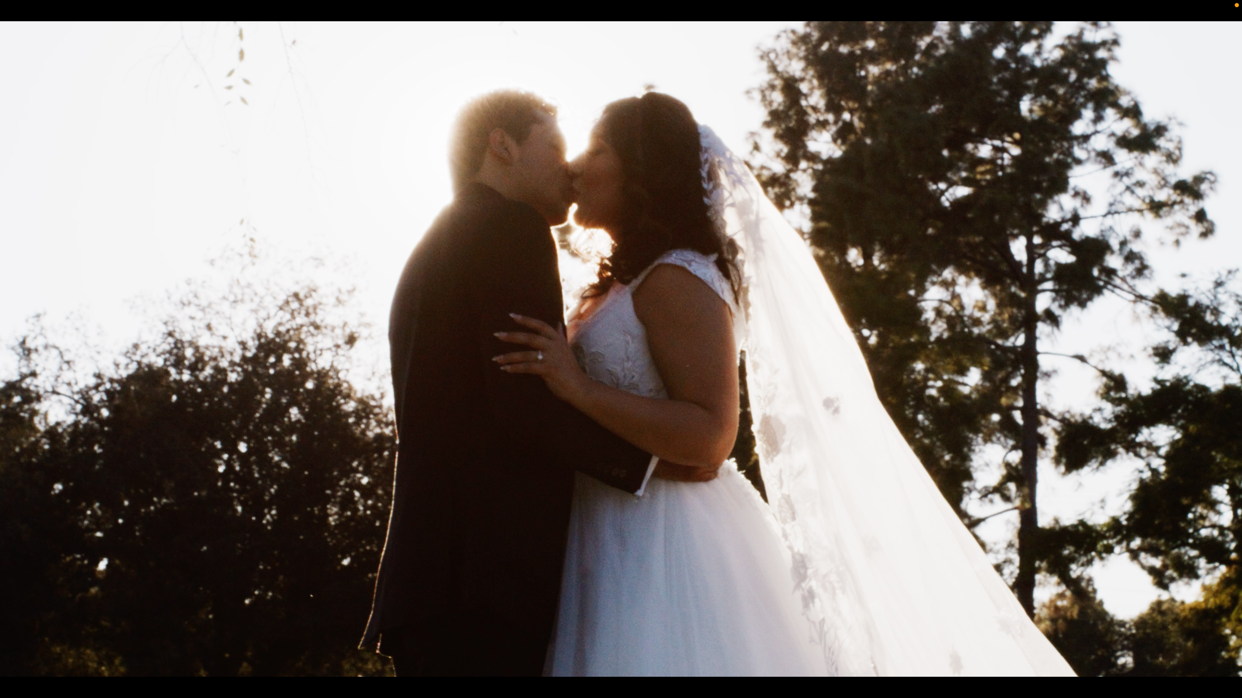 A bride and groom kissing outdoors during sunset, with trees in the background.