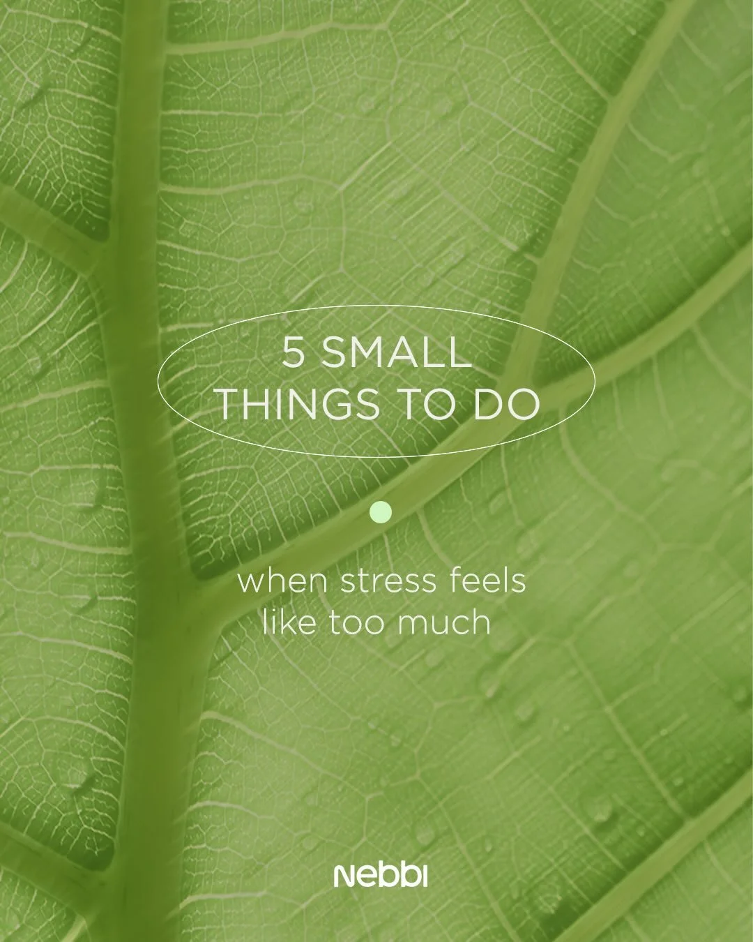 You don&rsquo;t need a vacation. 
You don&rsquo;t need a whole routine overhaul. 
You just need one small thing. Right now.

Here are 5 that actually work.
Which one are you trying today?
Tell us in the comments ⬇️

Download Nebbi for your daily chec