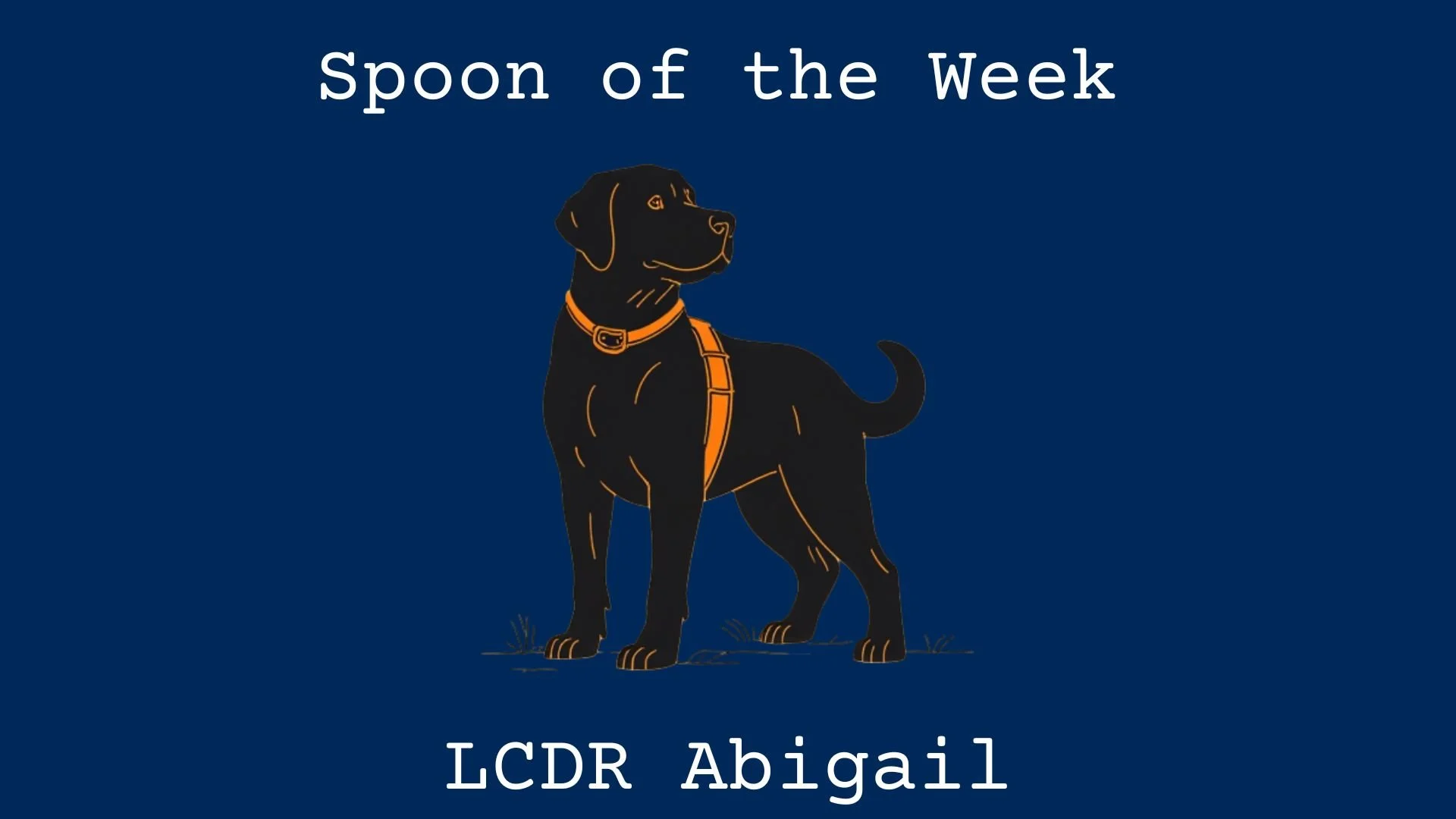 Dog in a service vest. LCDR Abigail