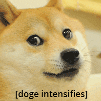 DOGE dog shaking