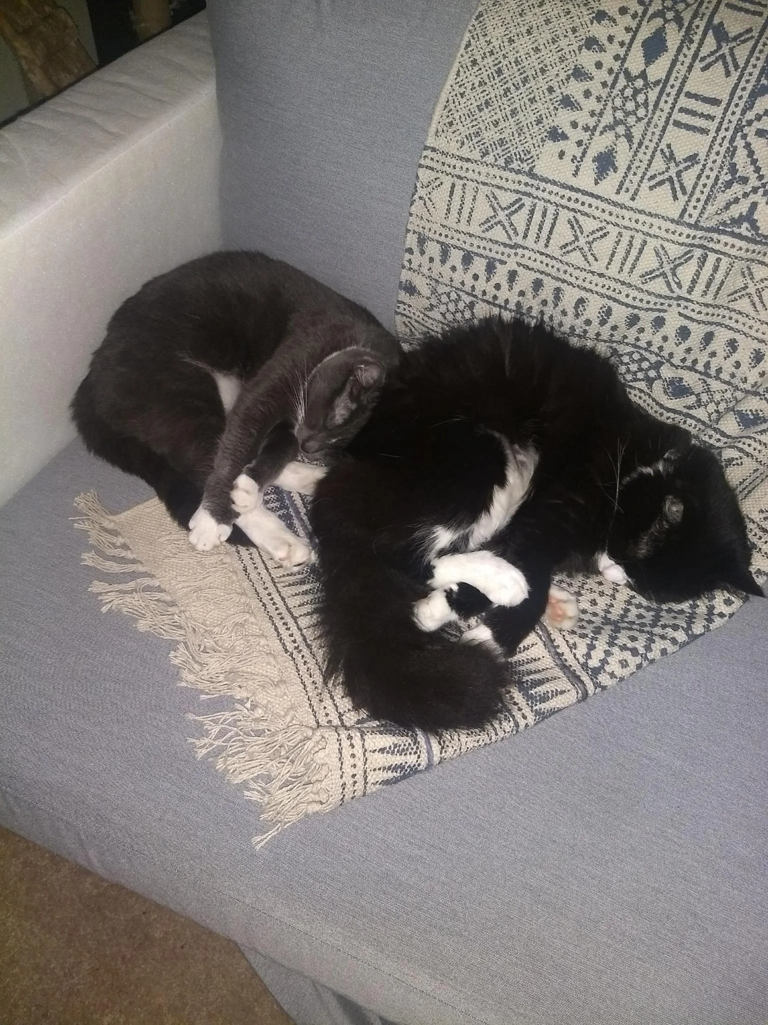 Signal: Ororo Moroe (R.G.)