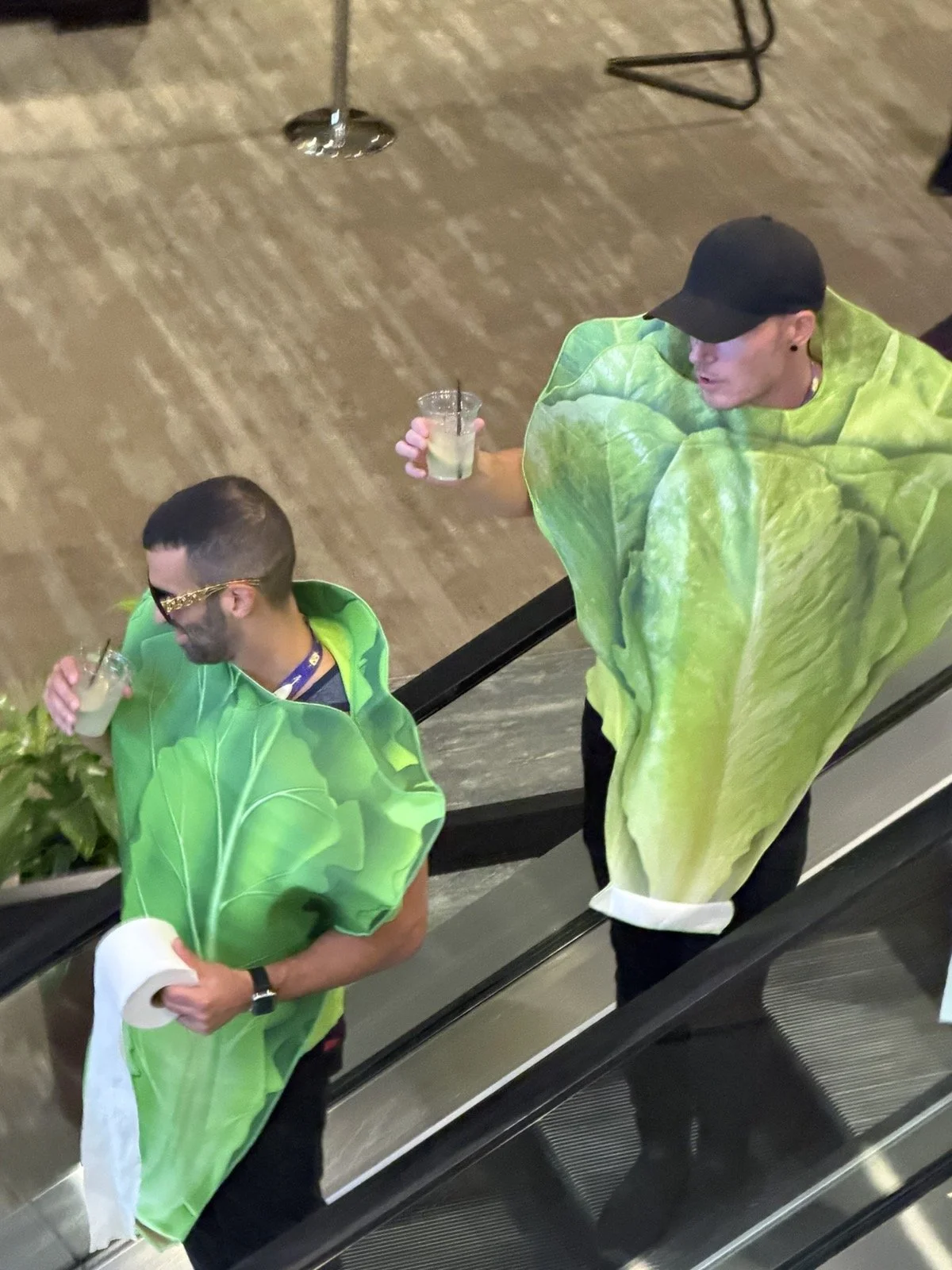 DC2026_Lettuce.jpg