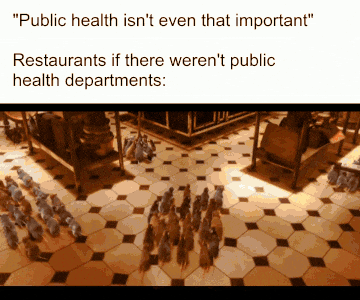 Public health isn't even that important. Restaurants if there weren't public health departments: scene from the move Ratatouille