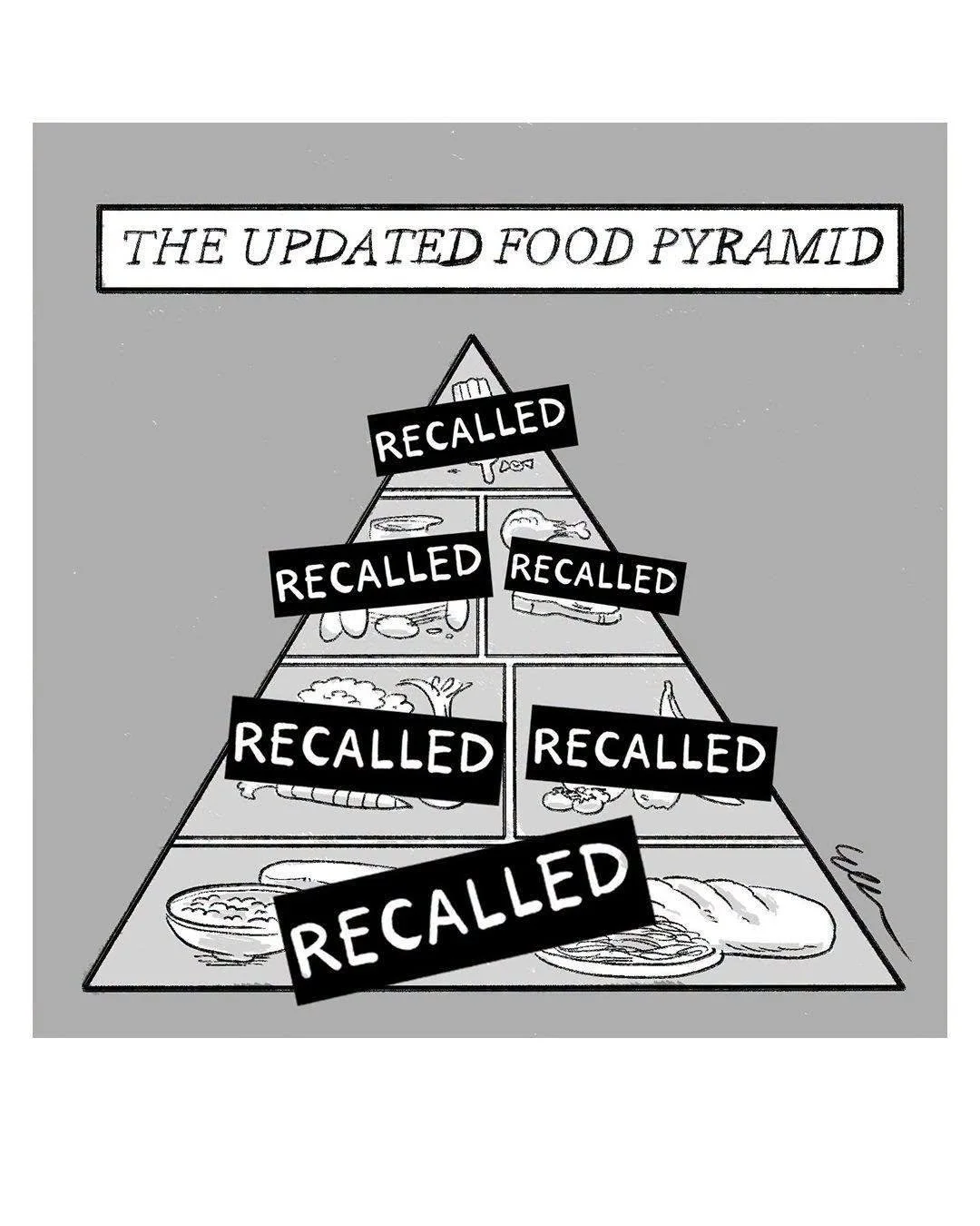 the updated food pyramid with recalls in all foods