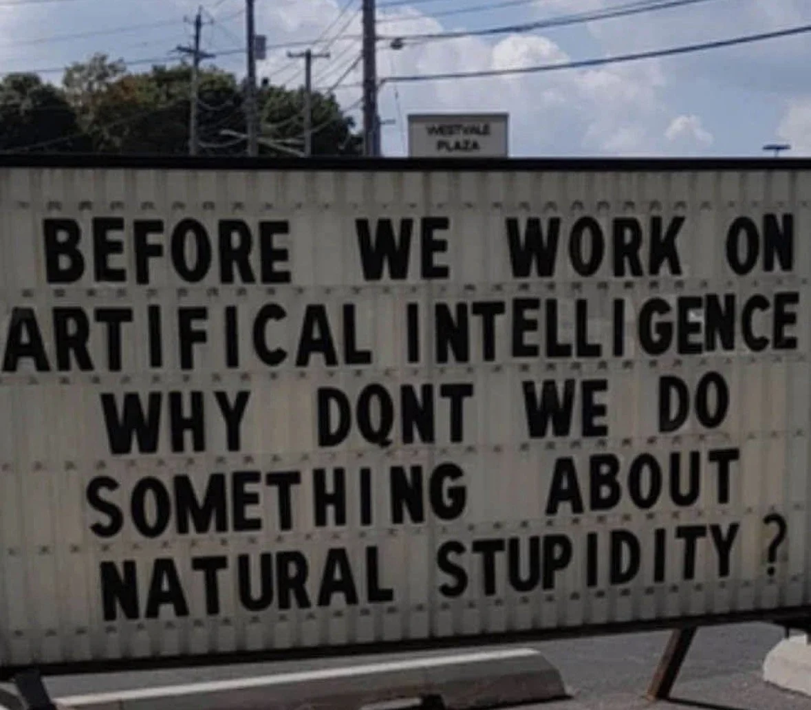 before we work on artificial intelligence, why don't we do something about natural stupidity?