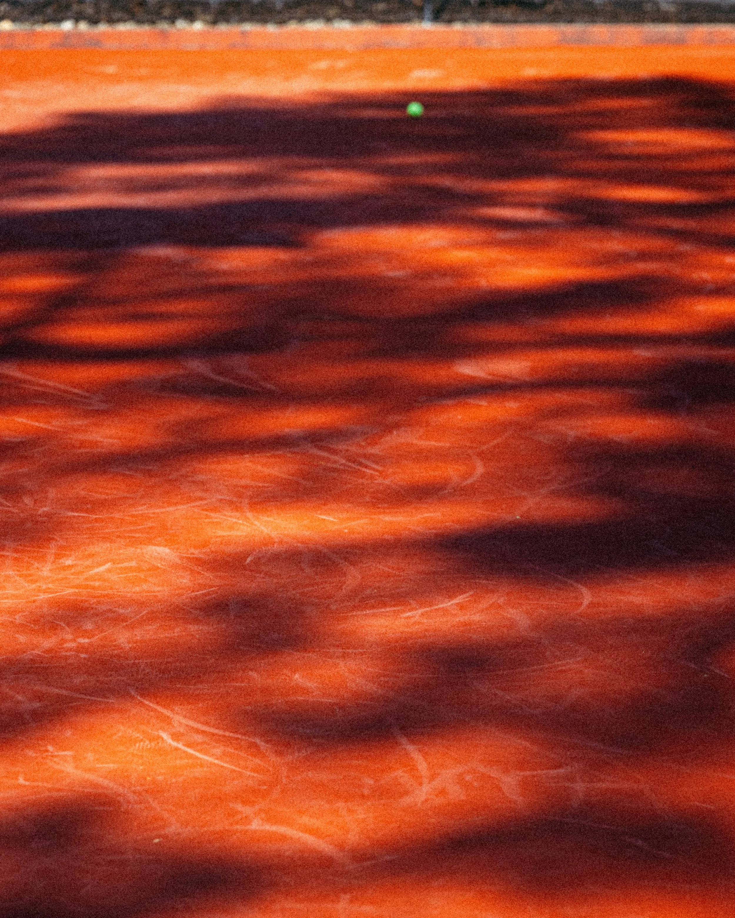 DSC03388.jpg