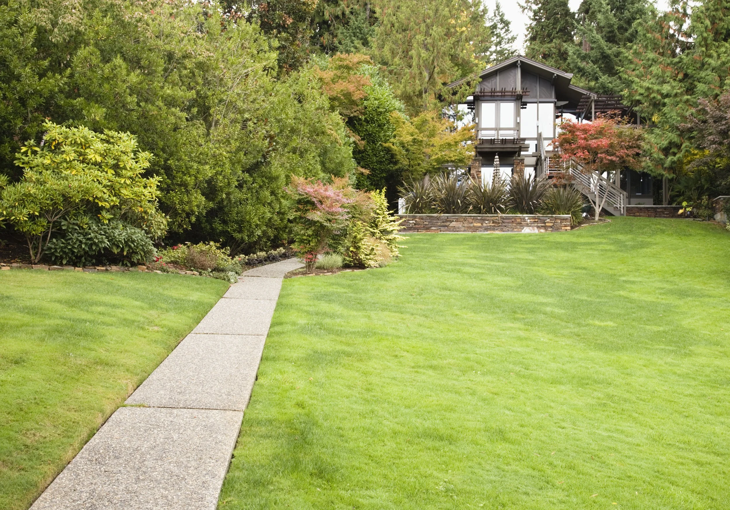 A landscaped backyard featuring a paved pathway, a well-kept lawn, lush green bushes, and a modern multi-level house with trees around it.