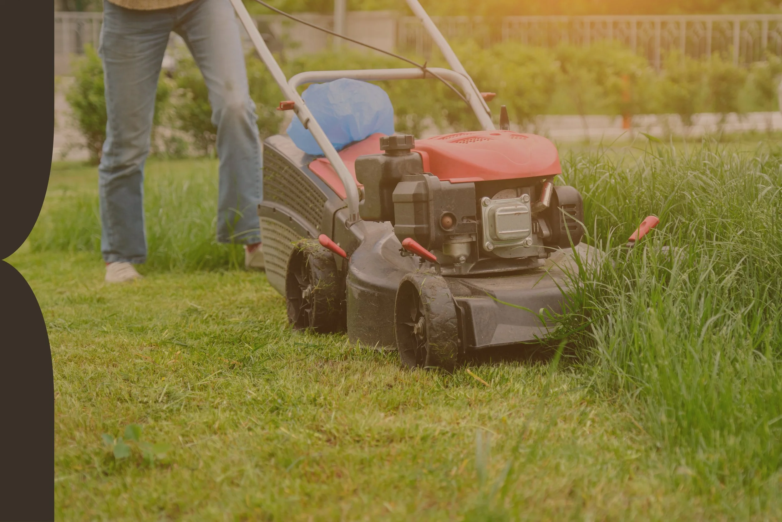 A person operating a red and black walk-behind lawn mower on a green lawn, with grass and plants around.
