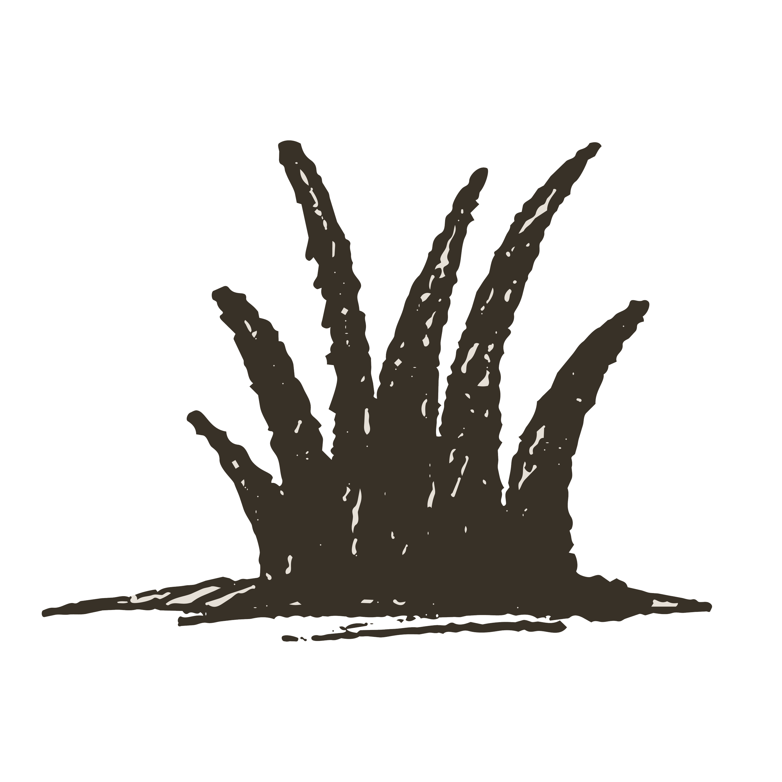 Illustration of a plant with long, narrow leaves emerging from the ground.