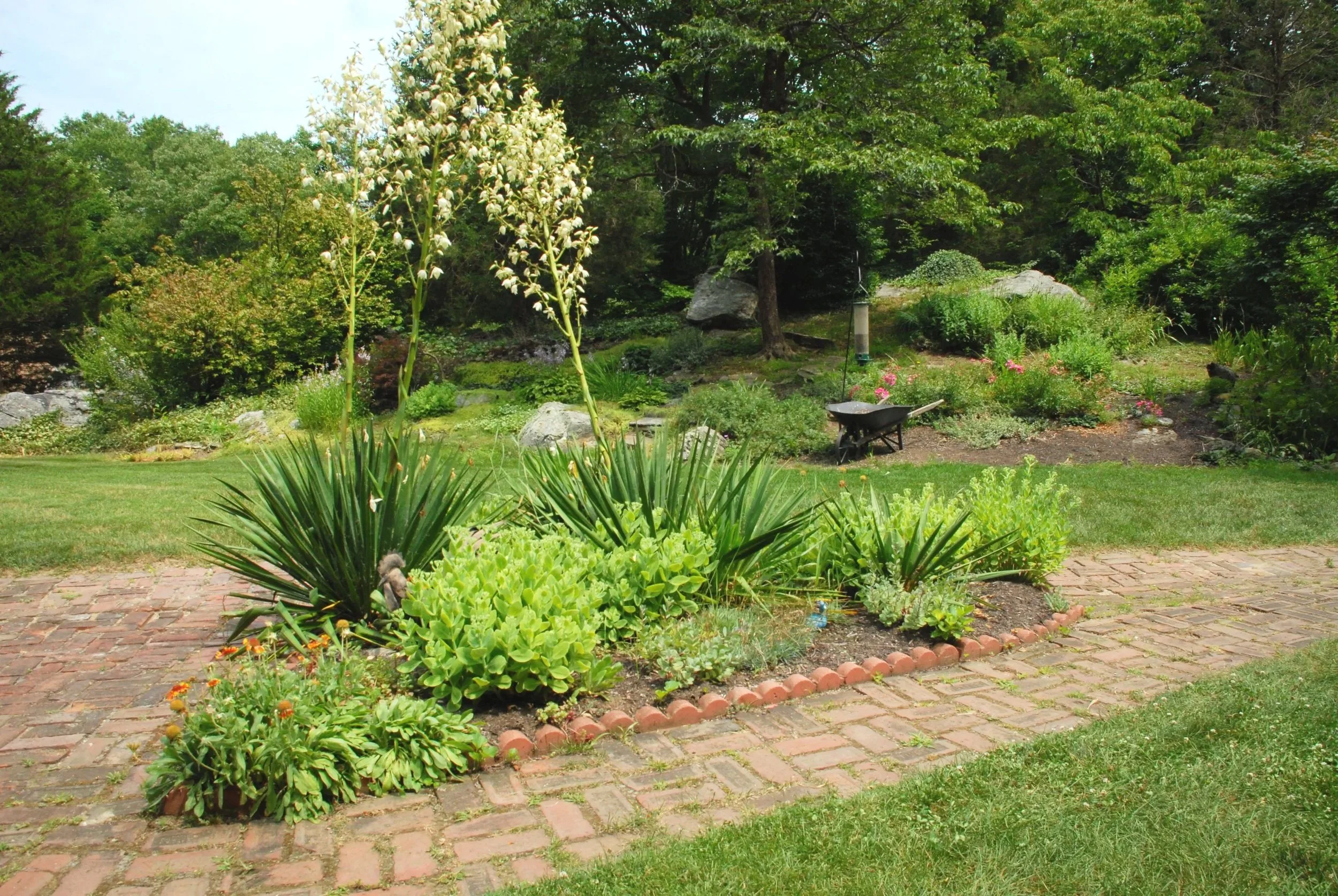 A lush garden with various green plants and flowers, a brick pathway, trees in the background, and a wheelbarrow on the grass.