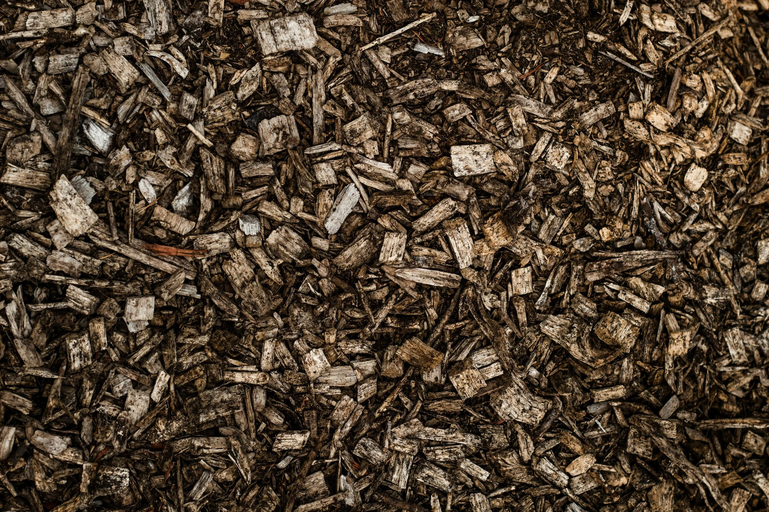 A close-up view of a large pile of mulch.