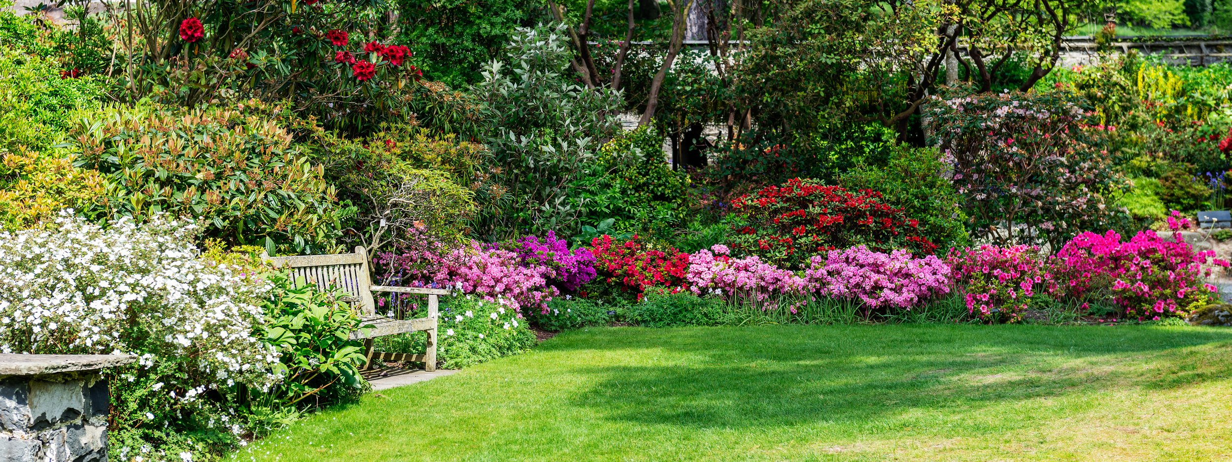 A lush garden with a variety of colorful flowering bushes, including pink, red, purple, and white blooms, surrounding a green lawn and a weathered wooden bench.