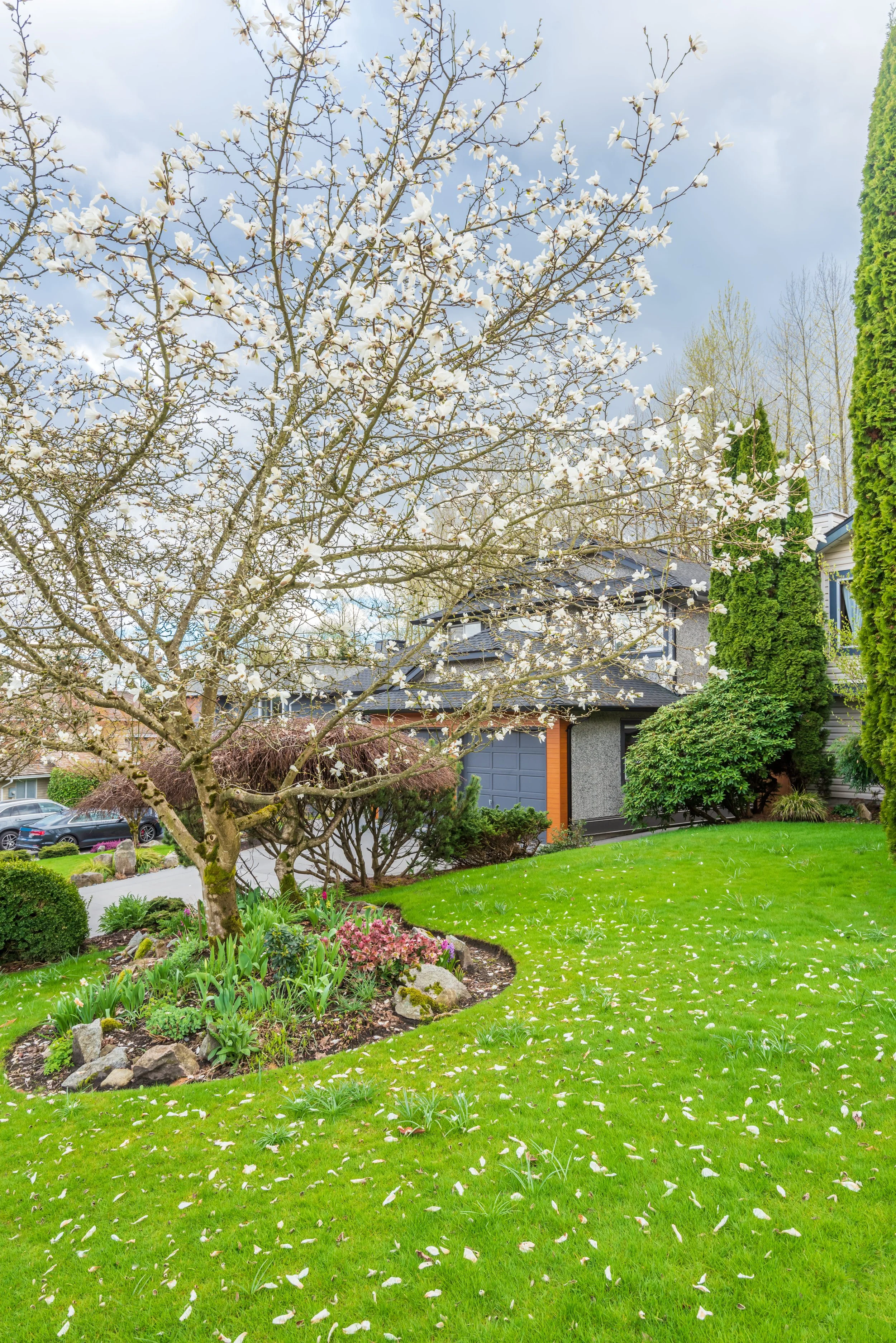 Green lawn with a garden bed filled with various plants and flowers. A large tree with white blossoms stands near a two-story house with gray and orange exterior. Two tall, narrow evergreen trees are visible on the right side. The sky is cloudy with patches of blue.