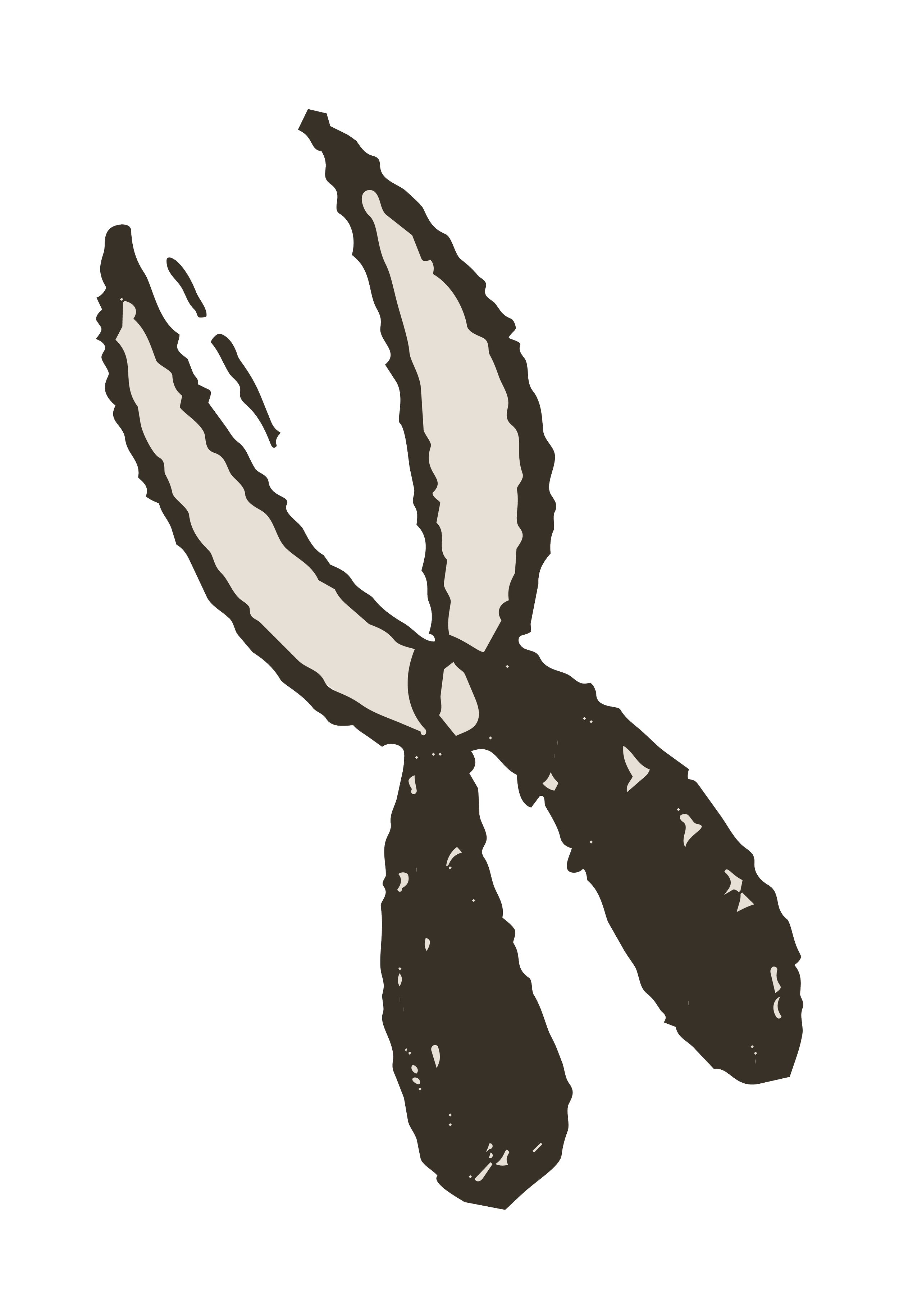 Minimalist black and white illustration of a cactus plant with three elongated, segmented arms.