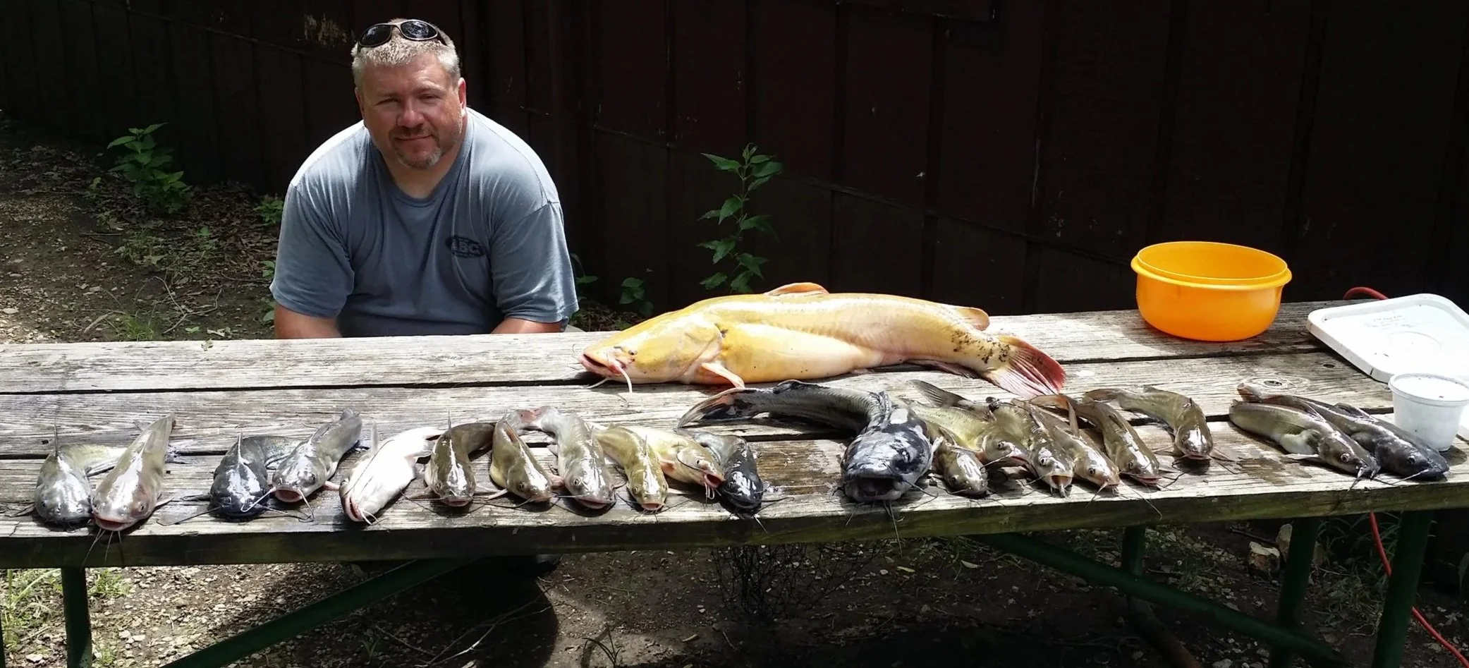 A man with sunglasses on his head kneeling behind a wooden table displaying a large catch of fish, including catfish and bass, with a large yellow fish in the center. The table has an orange bowl and a white container on it, with a dark wooden fence 
