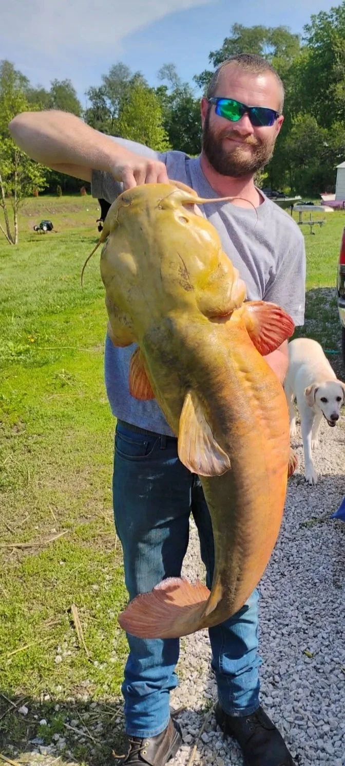 A man with sunglasses holding a large, yellowish-orange fish outdoors on a grassy area, with a dog in the background.