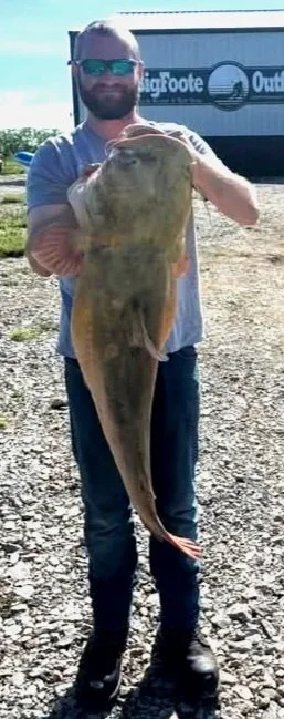 Man holding a large fish outdoors near a trailer with the logo 'Big Foot Out' visible.