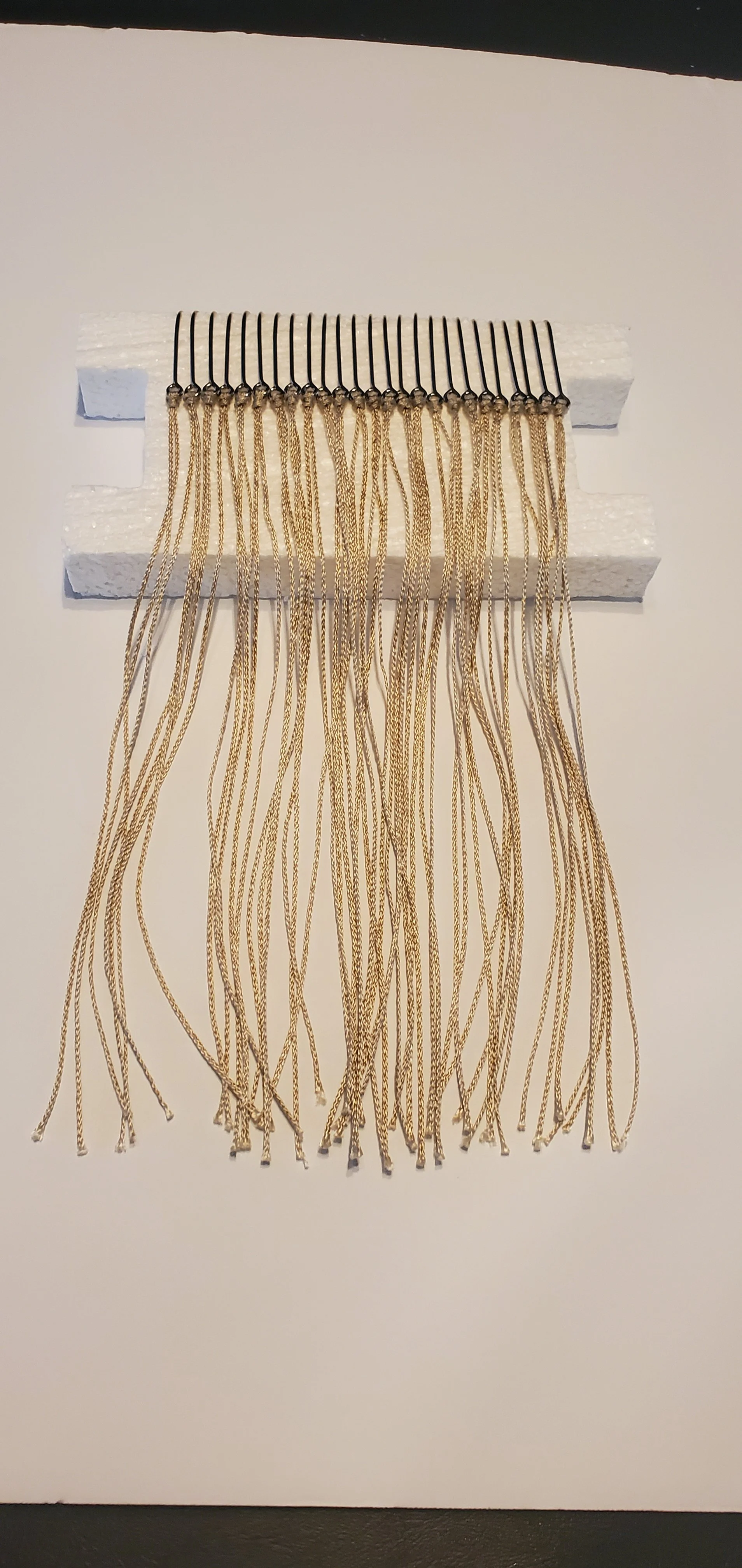 hooks on styrofoam.jpg