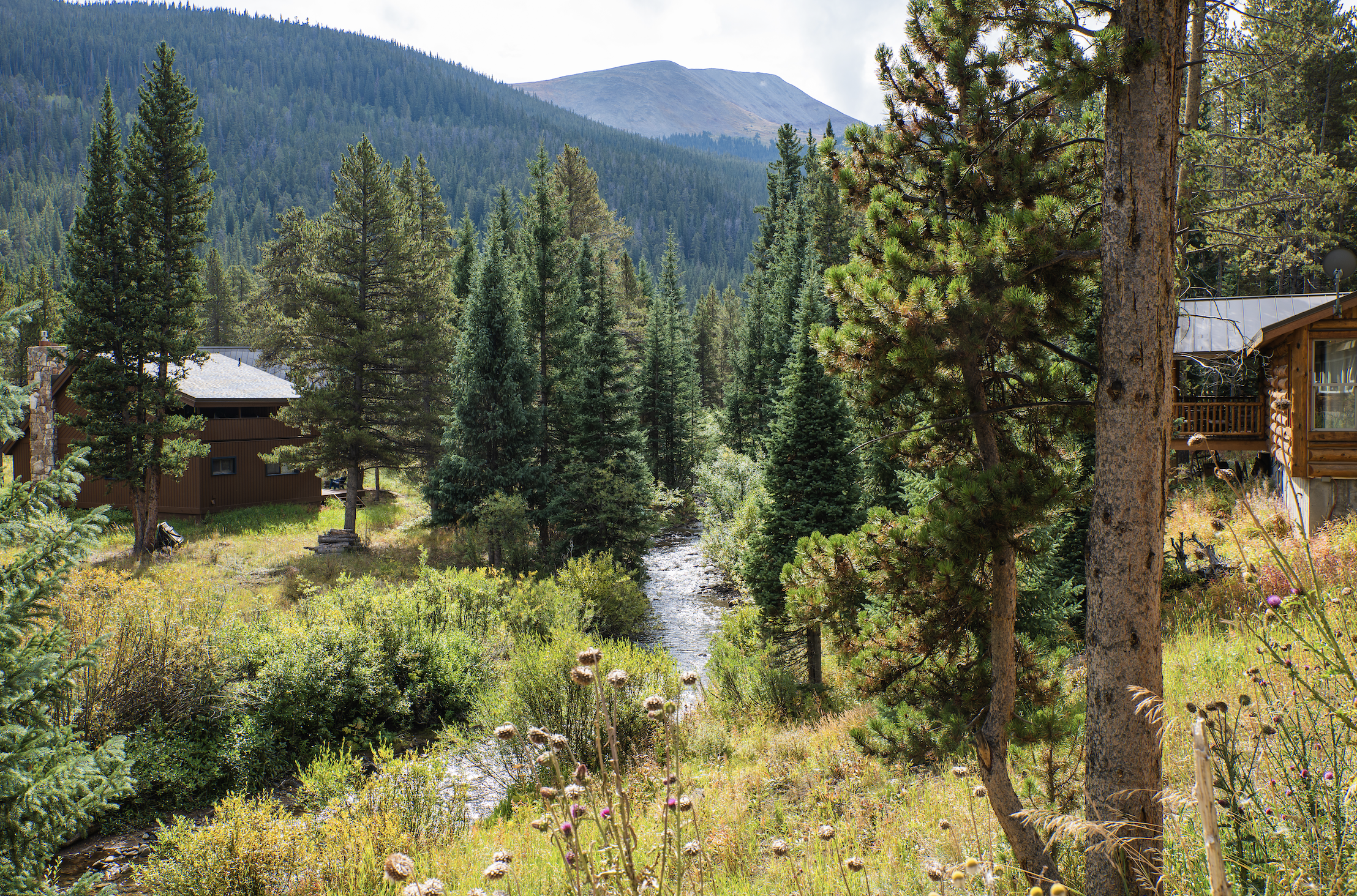 Screenshot 2023-09-19 at 9.17.32 PM.png