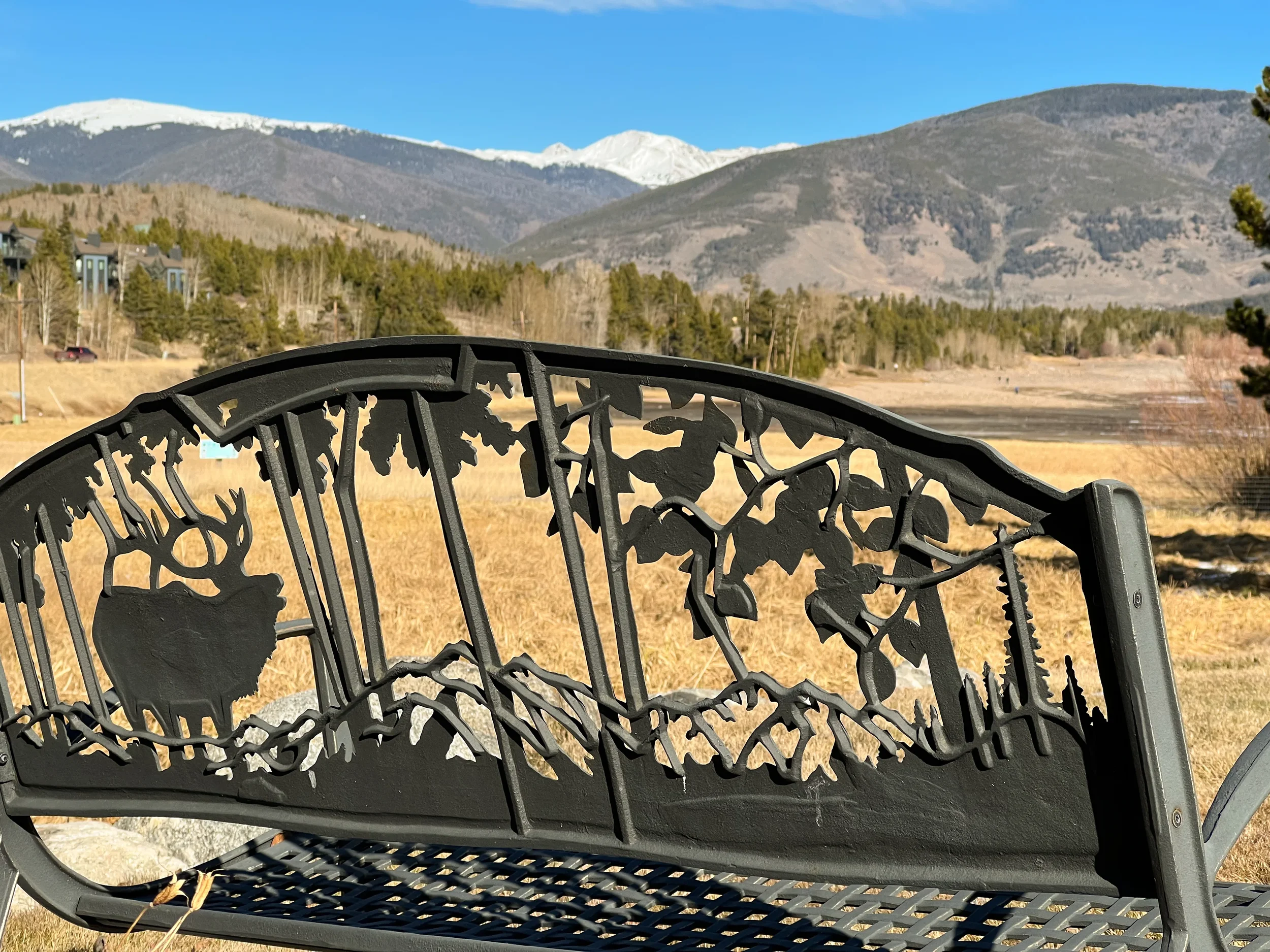 Prospect Point Frisco Rental_23.webp