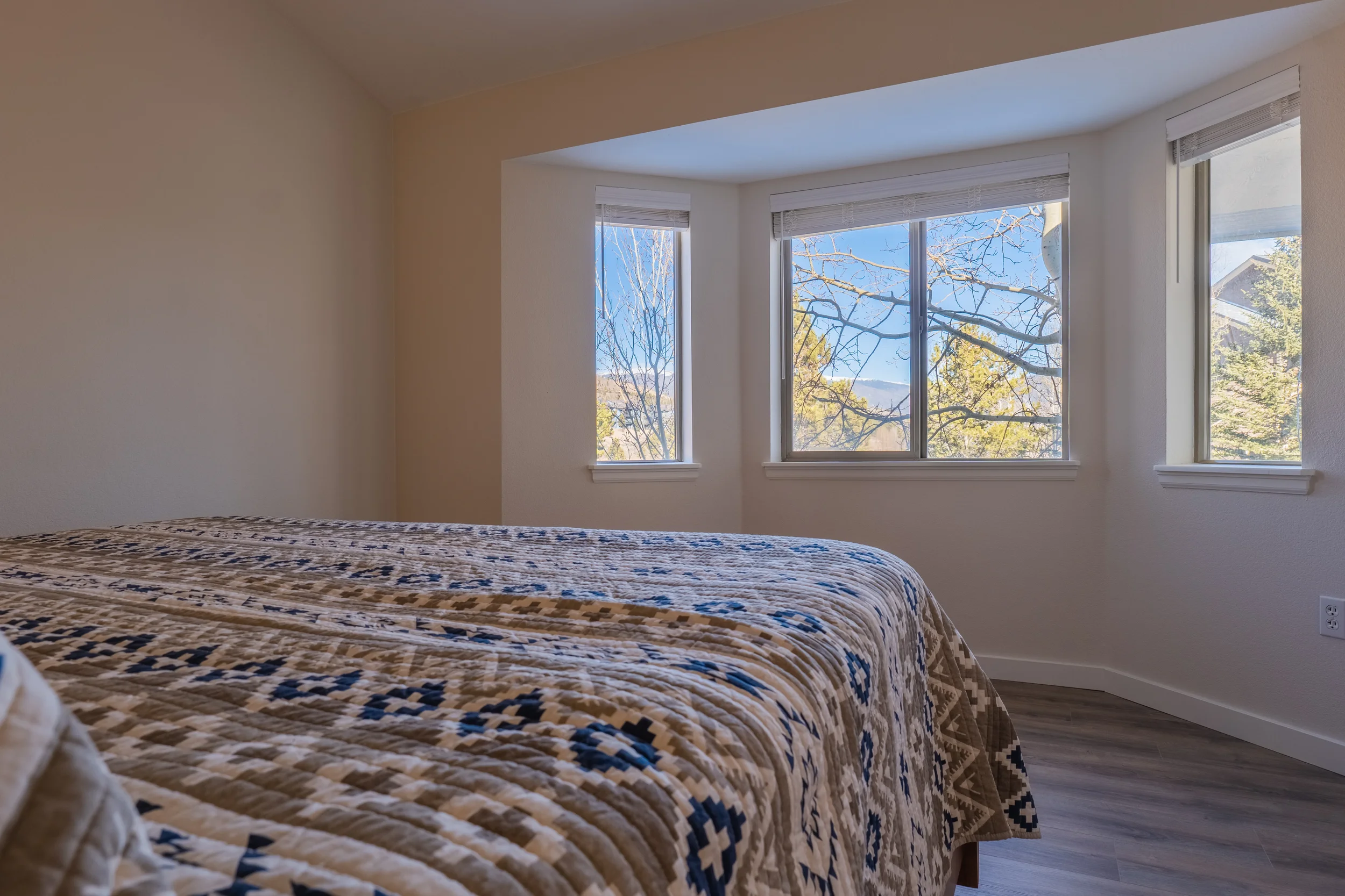 Prospect Point Frisco Rental_46.webp