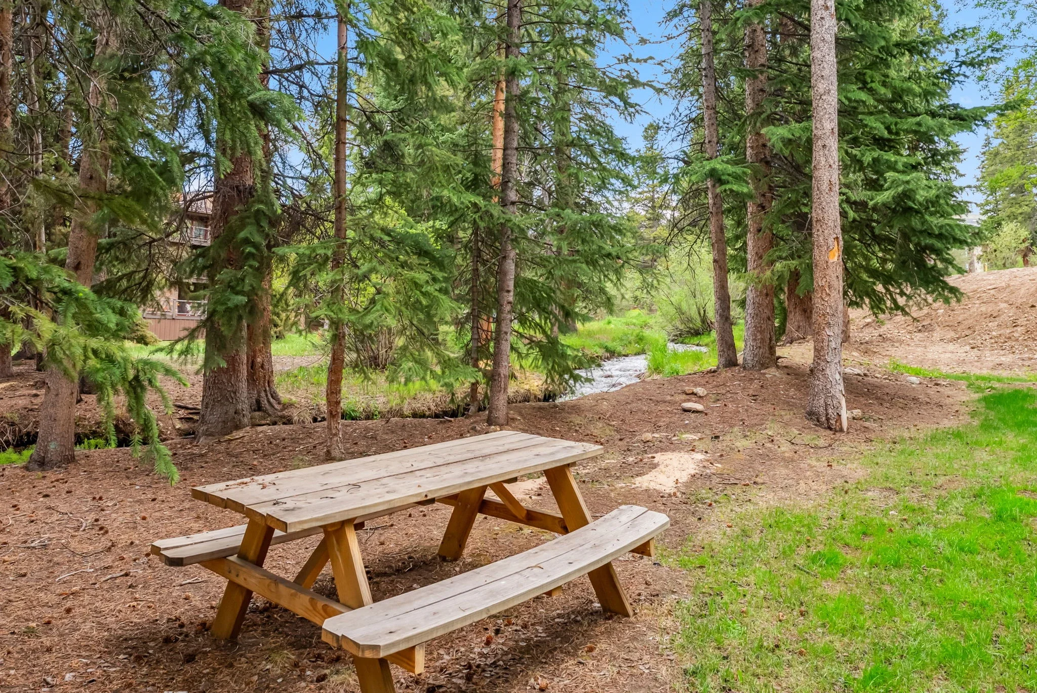 Wildwood 307 Breckenridge Rental_28.webp