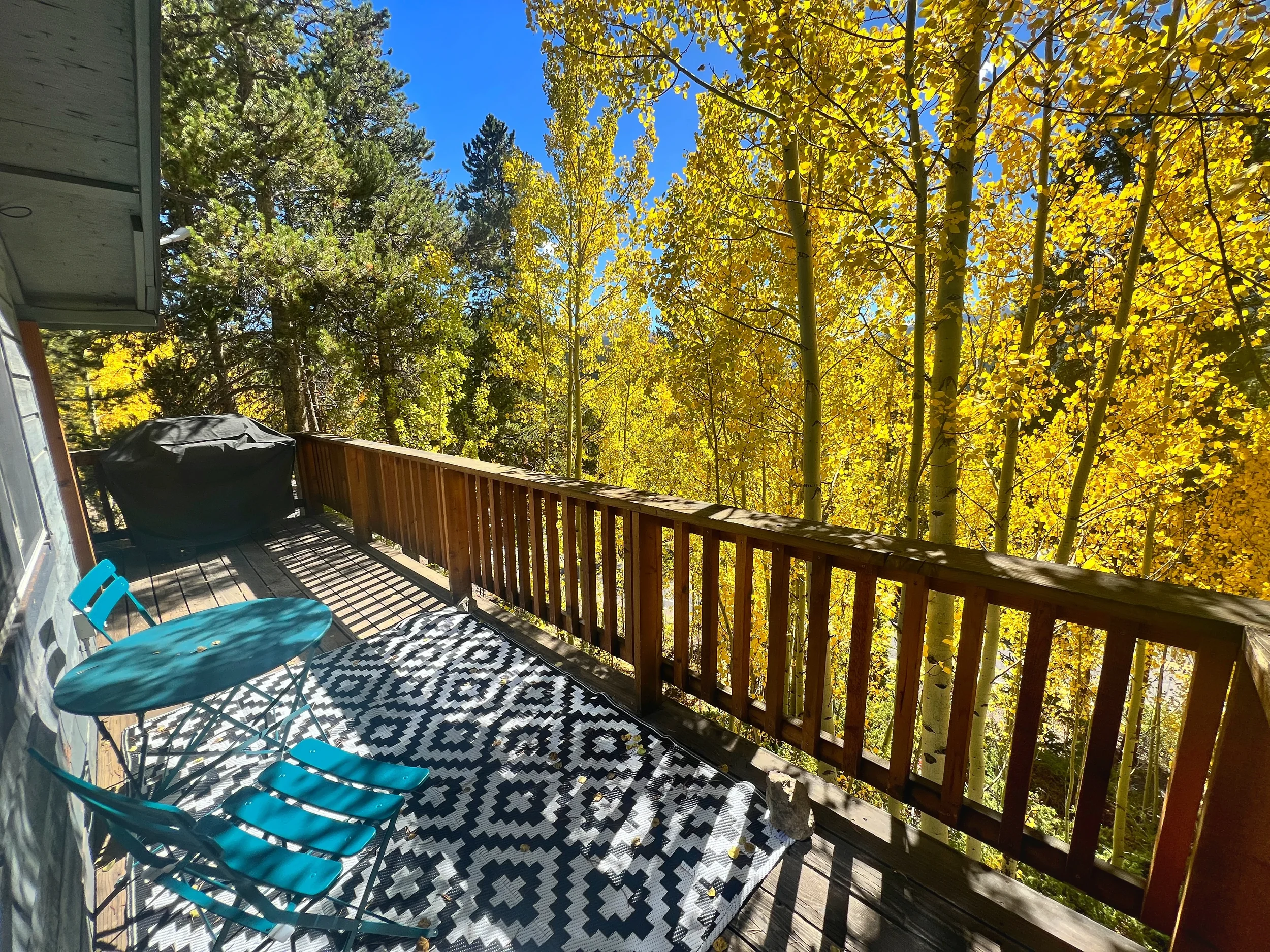 Blue Jay Nest Breckenridge Rental_1.webp