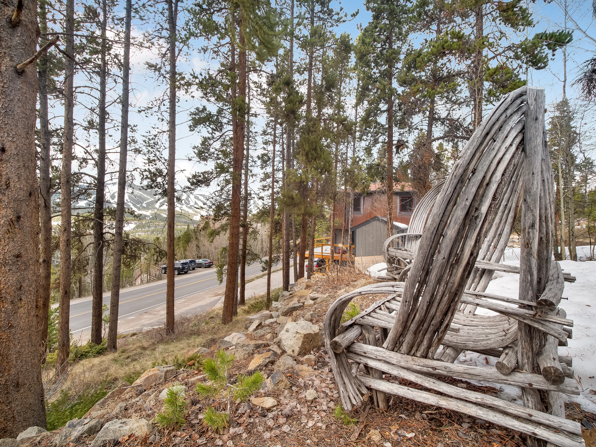 Blue Jay Nest Breckenridge Rental_18.webp