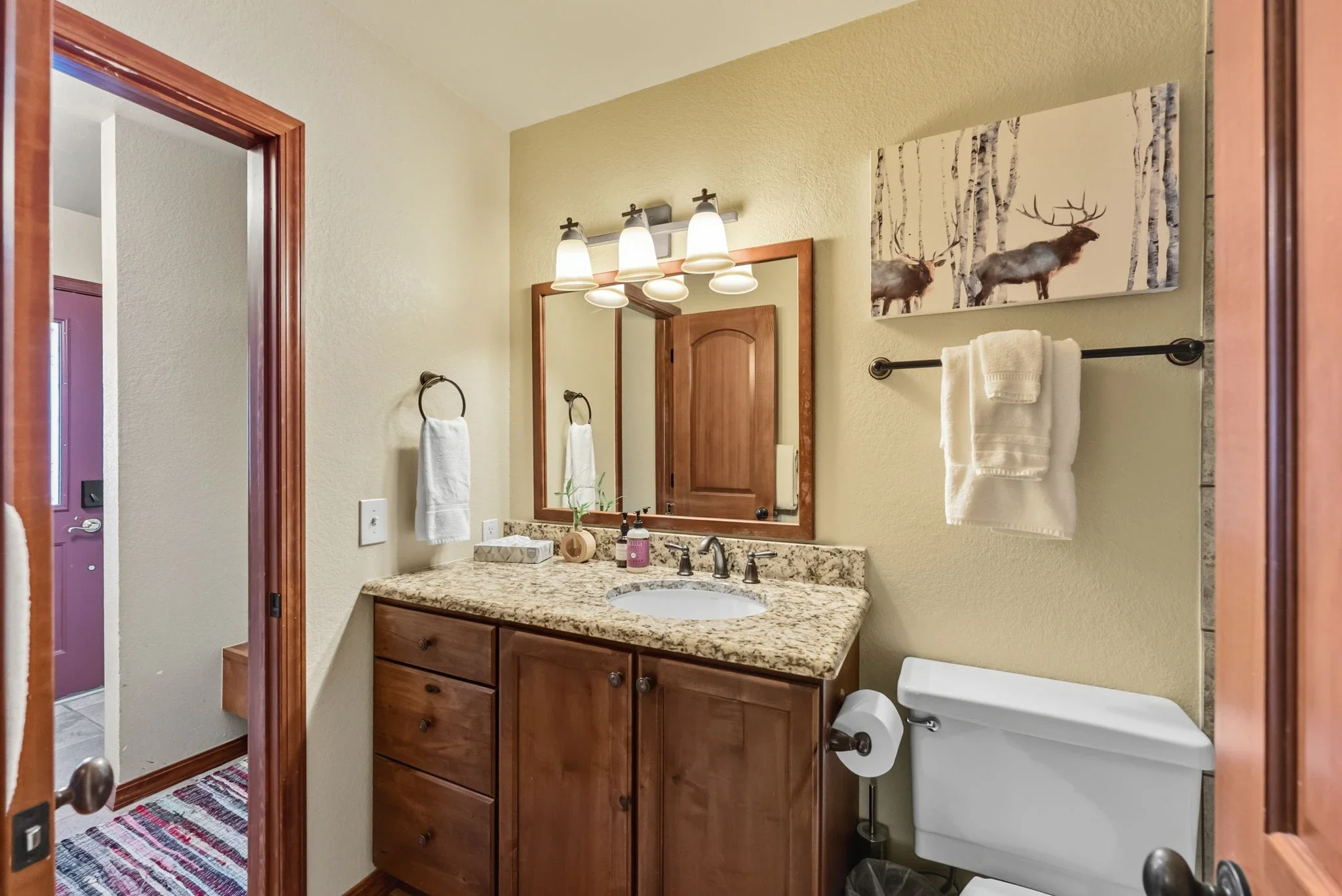 Base 9 Mountain Ski Cabin_27.webp