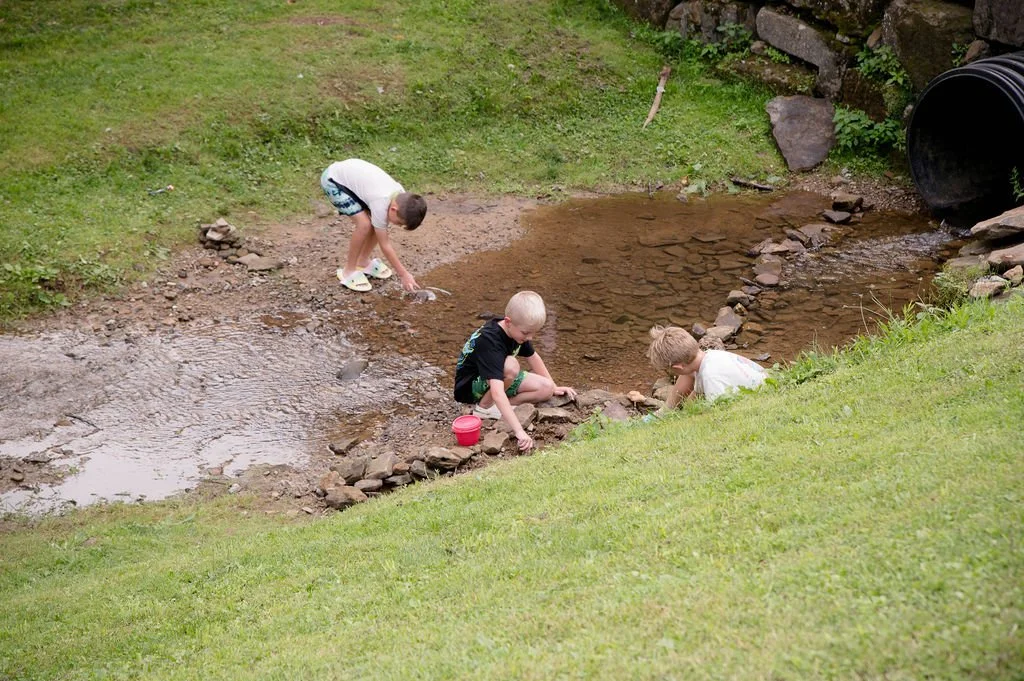 DSC_4619.jpg