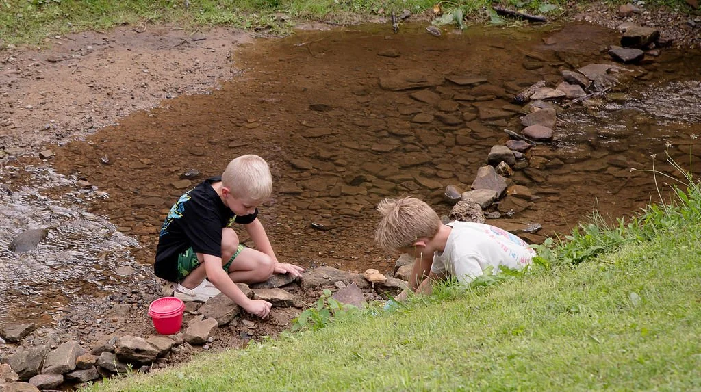 DSC_4618.jpg
