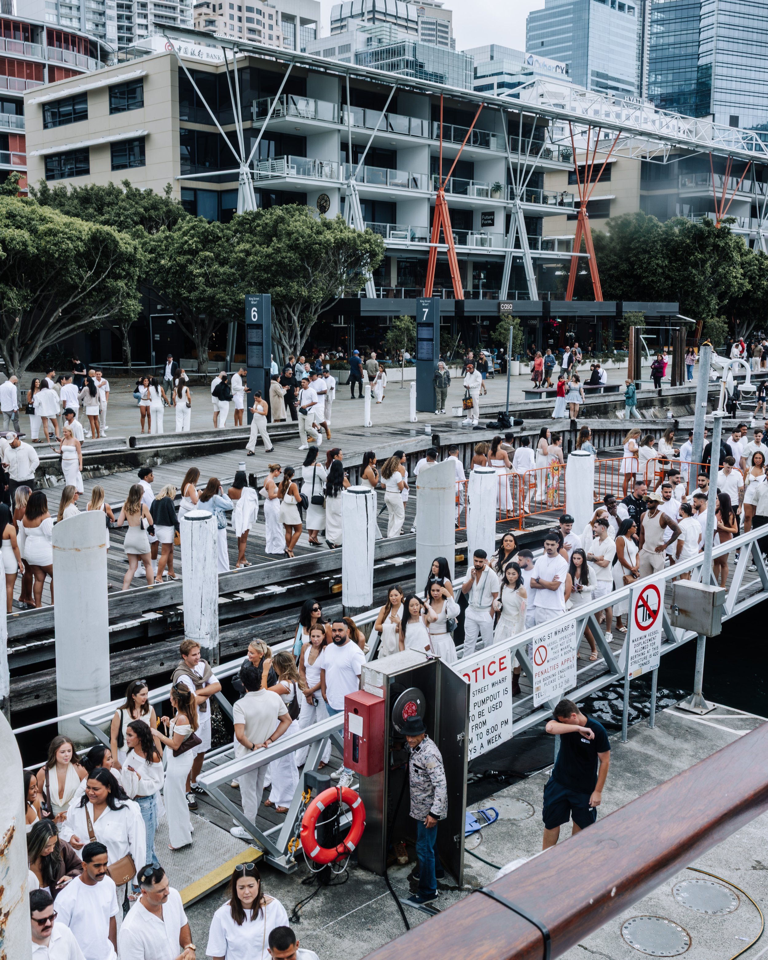 TLL x Glass Island-003.jpg