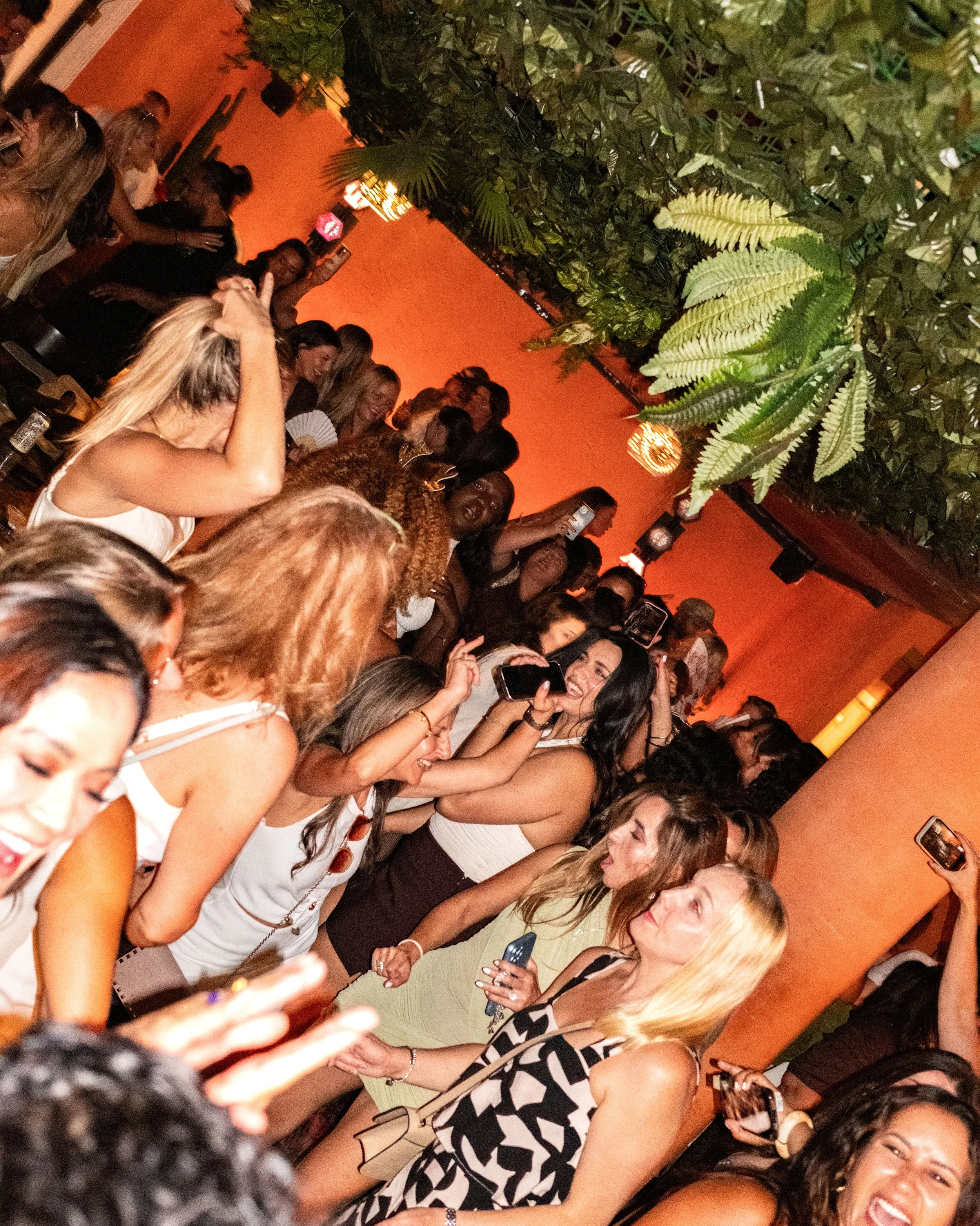 CREDIT @AMAR.GERA_FUJI_LATE LUNCH_ LATE LUNCH DEC 13TH-47.jpg