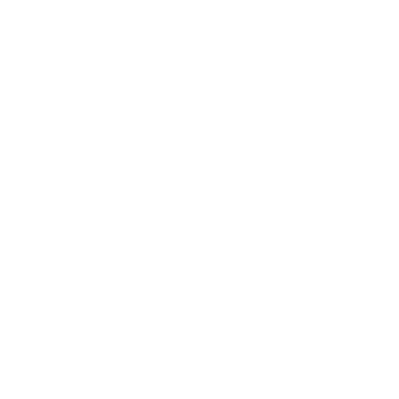 Southern Careers.png
