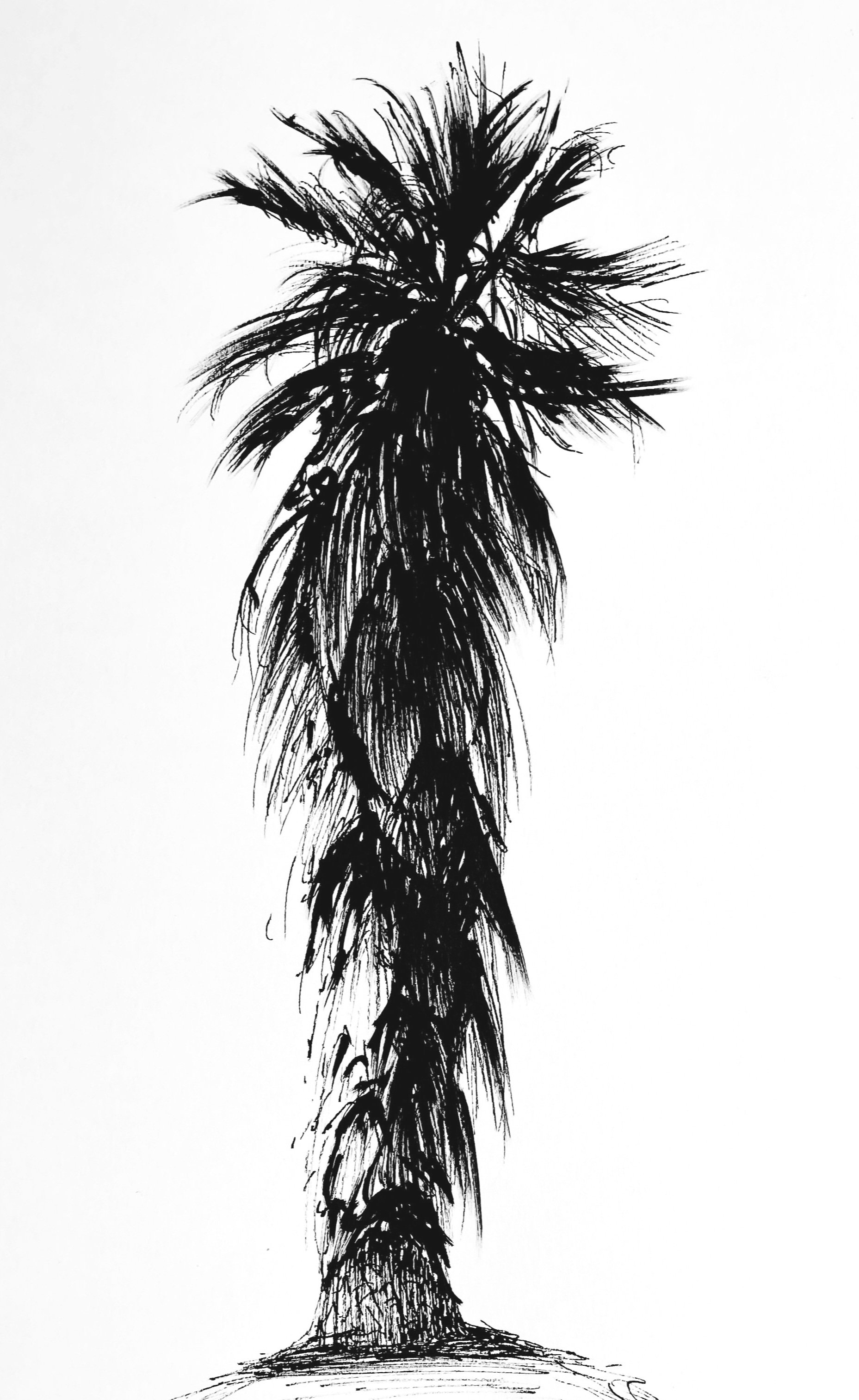 tree_contrast.jpg