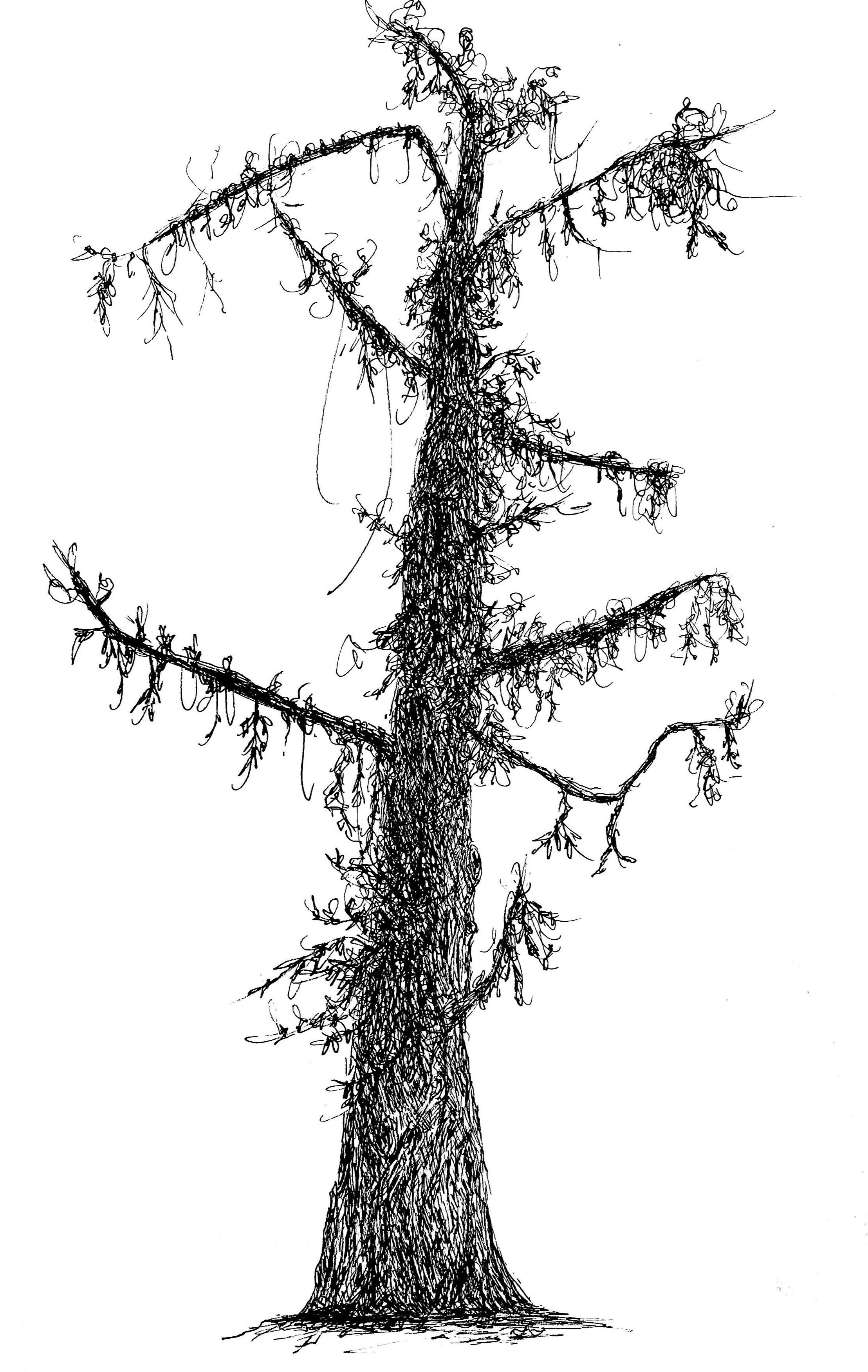 tree01.jpg