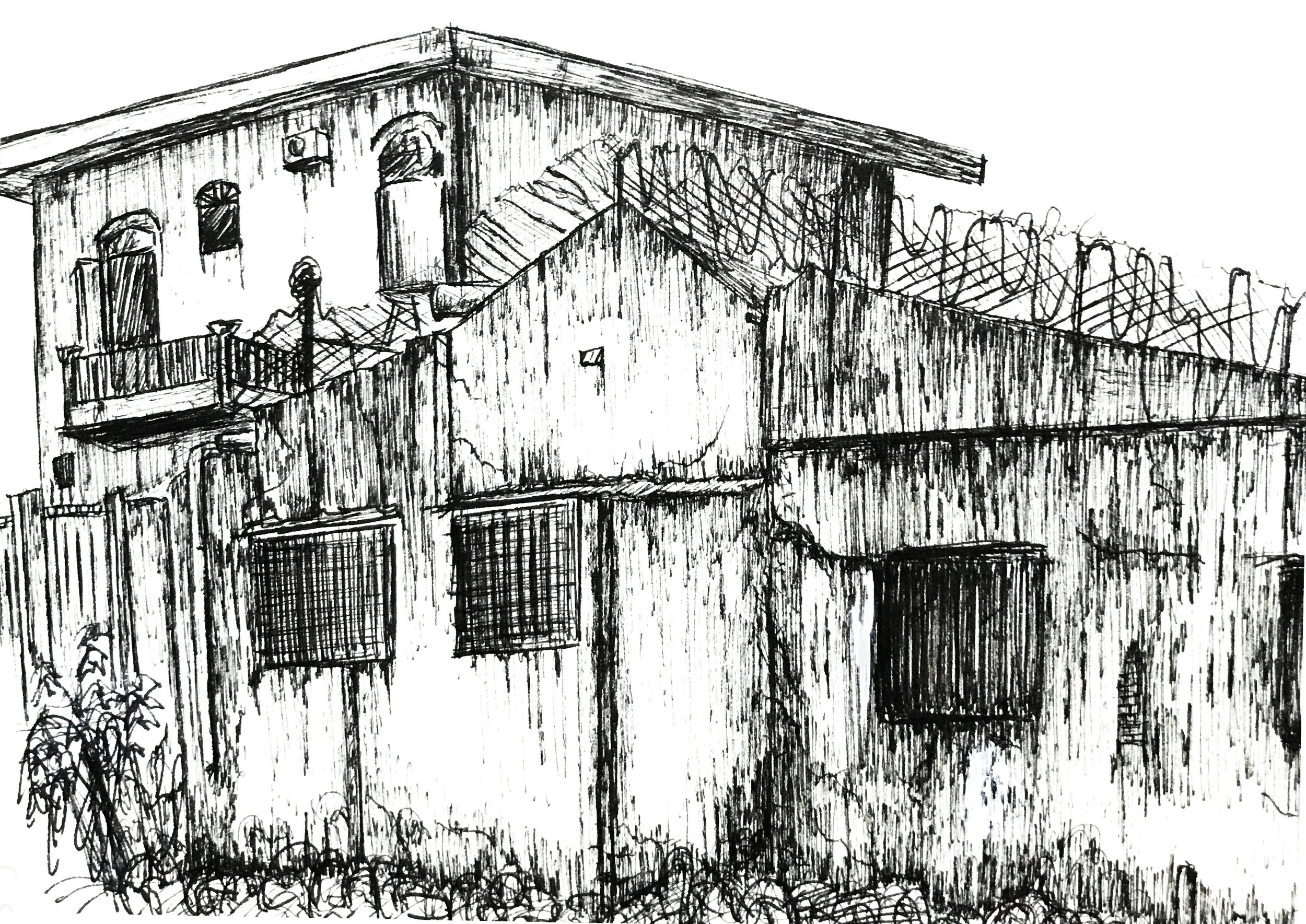 backyard.jpg