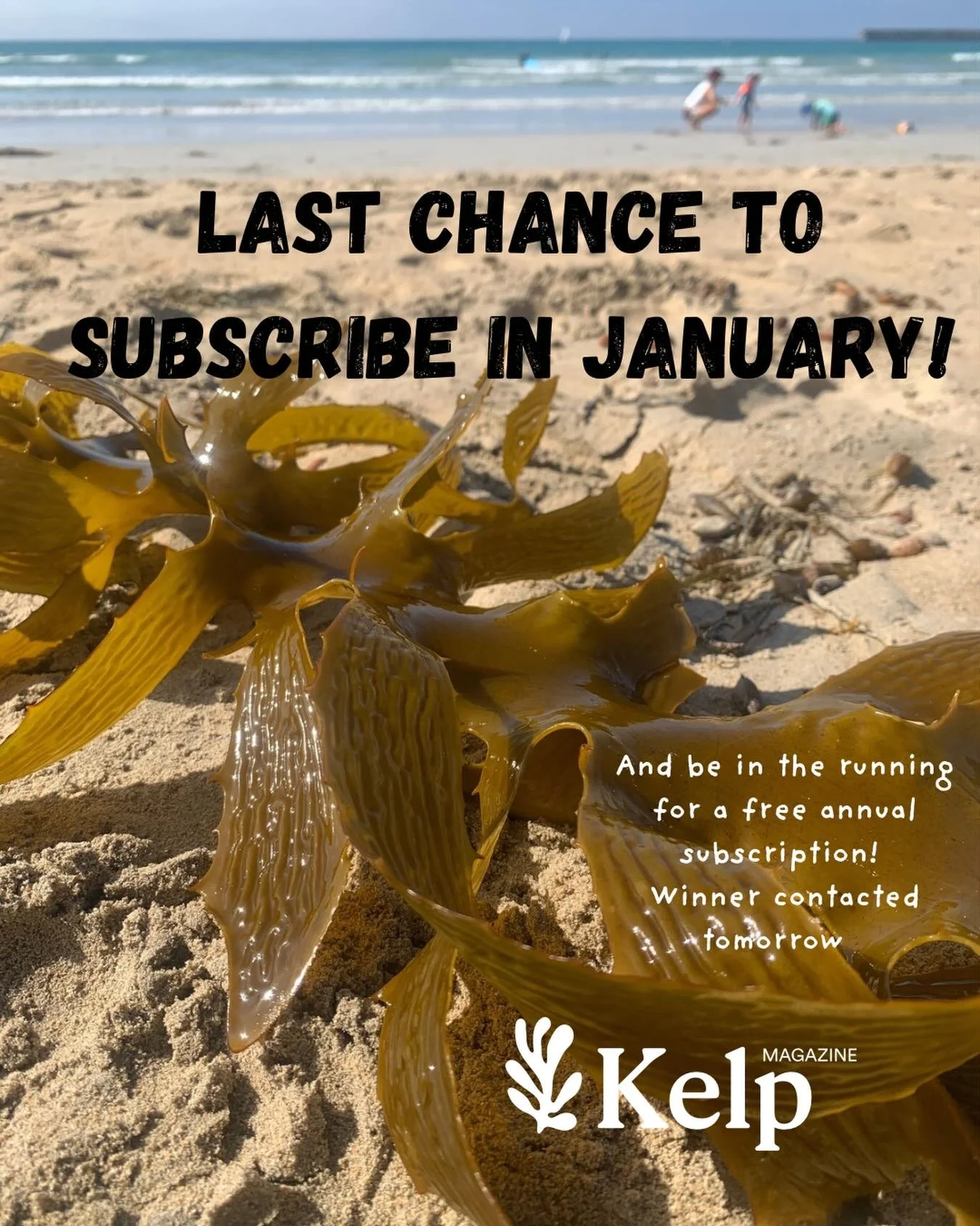 Tomorrow I&rsquo;ll be randomly selecting one lucky winner who will get their entire annual subscription refunded! 

I&rsquo;m hoping for a sleep in so will take subscribers until midday tomorrow as a cheeky bonus! 

Subscribe online now ☺️ kelpmagaz