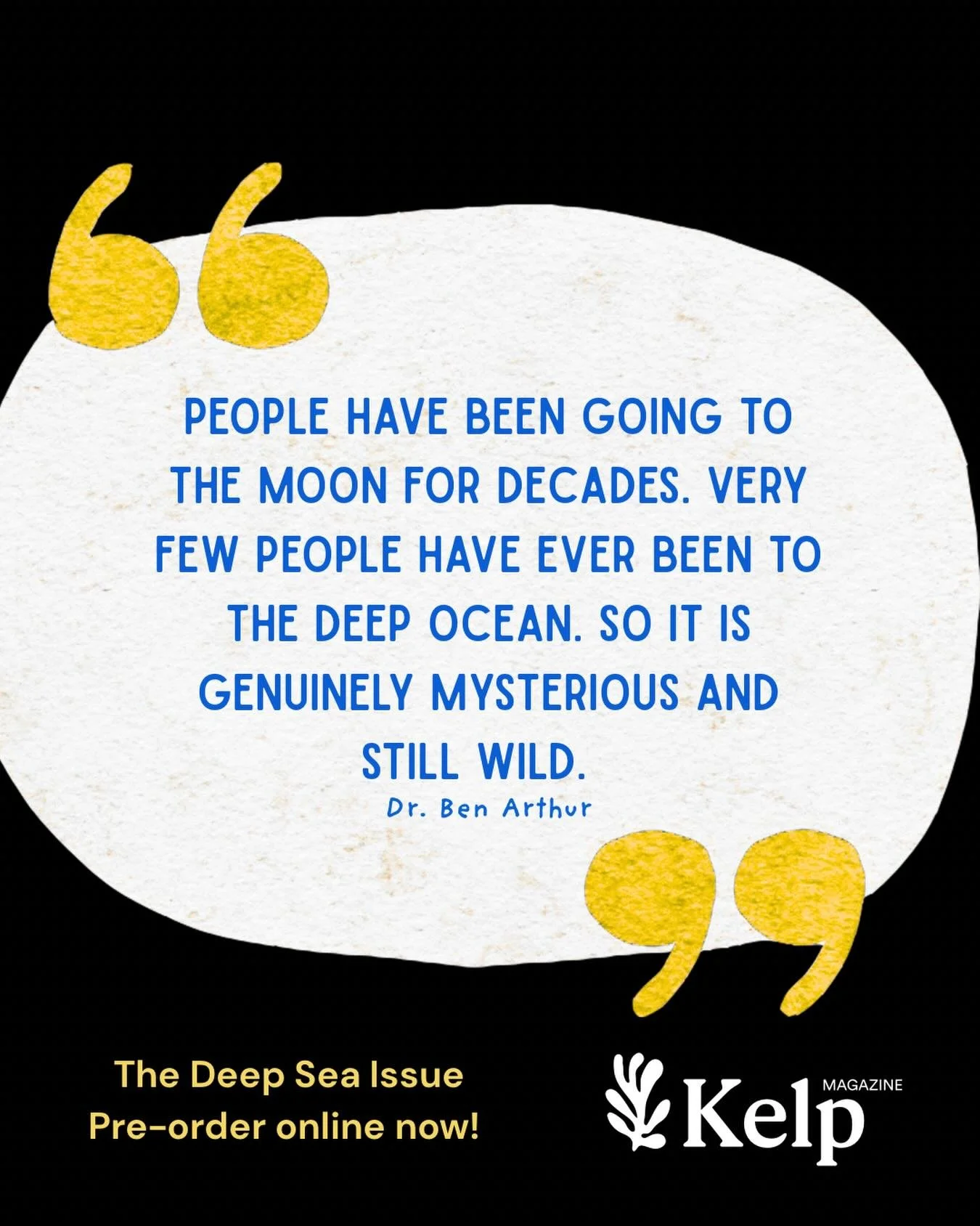 Dr. Ben Arthur was on board the Investigator ship when I spoke to him about the deep sea, shipwrecks and discovering new marine creatures. 

Want to know more? Pre-order your copy of our fifth issue, The Deep Sea Issue at kelpmagazine.com.au now! Get