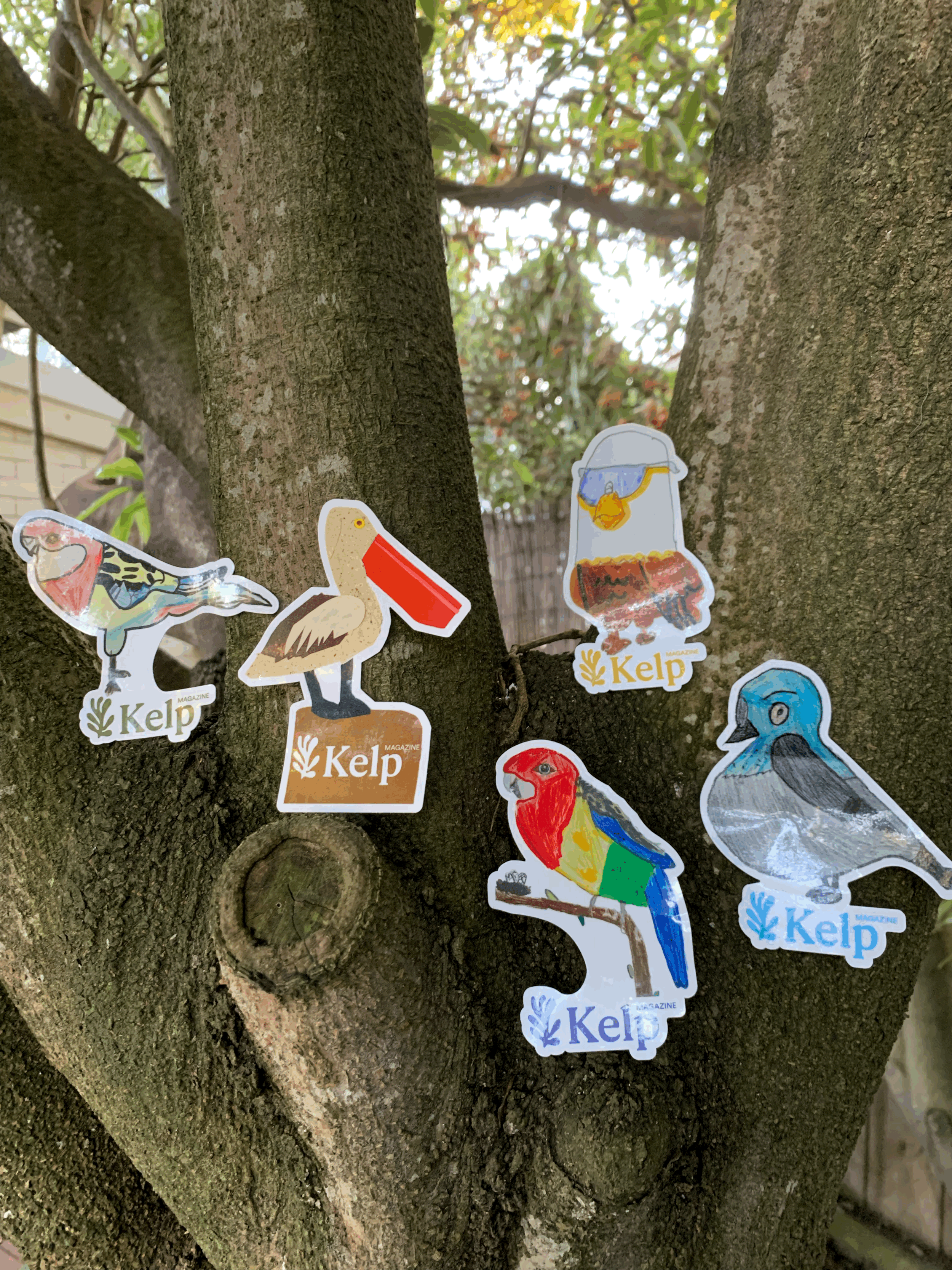 Kelp Bird Sticker