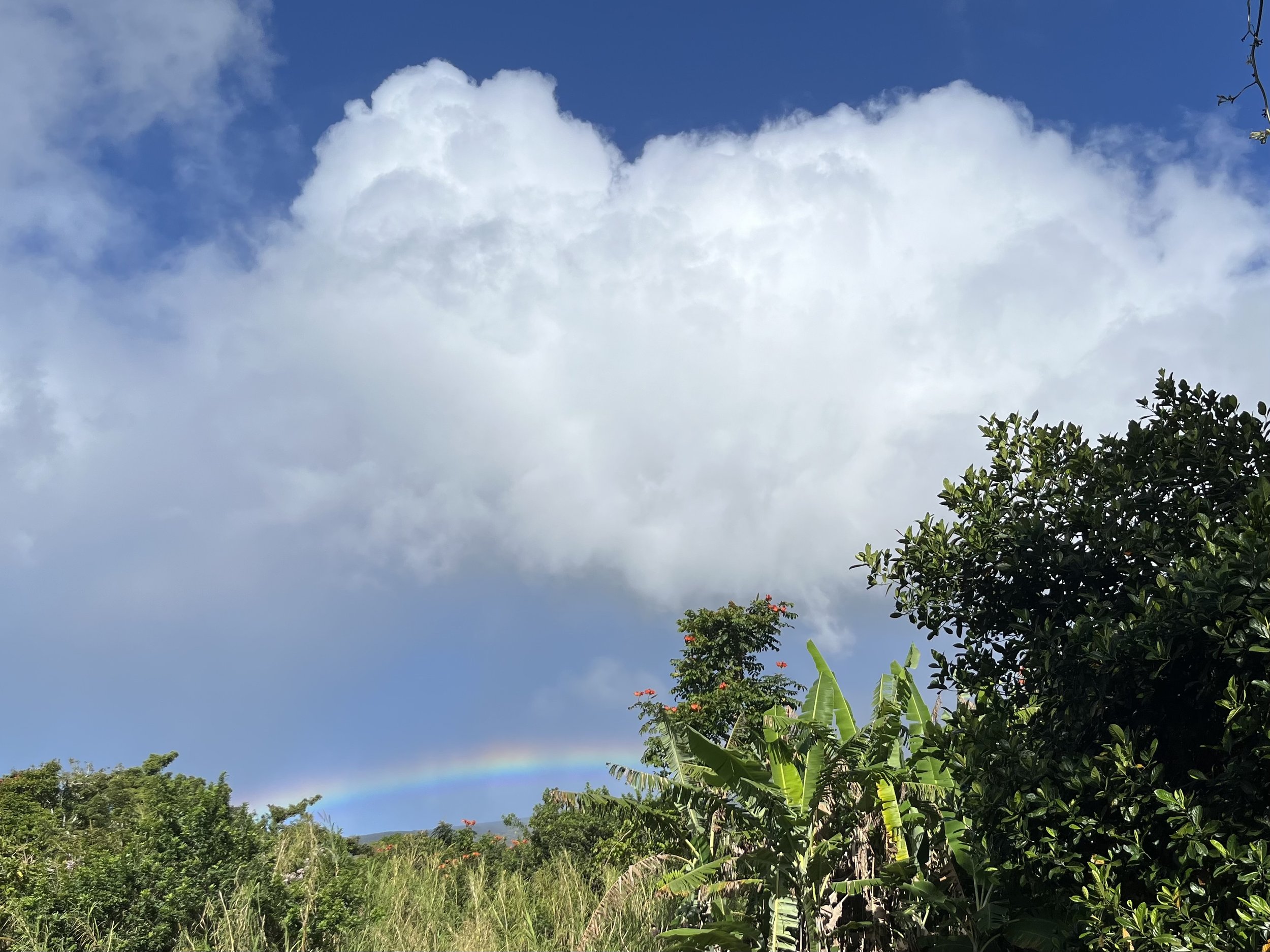 Mama Jan’s Farm Tour