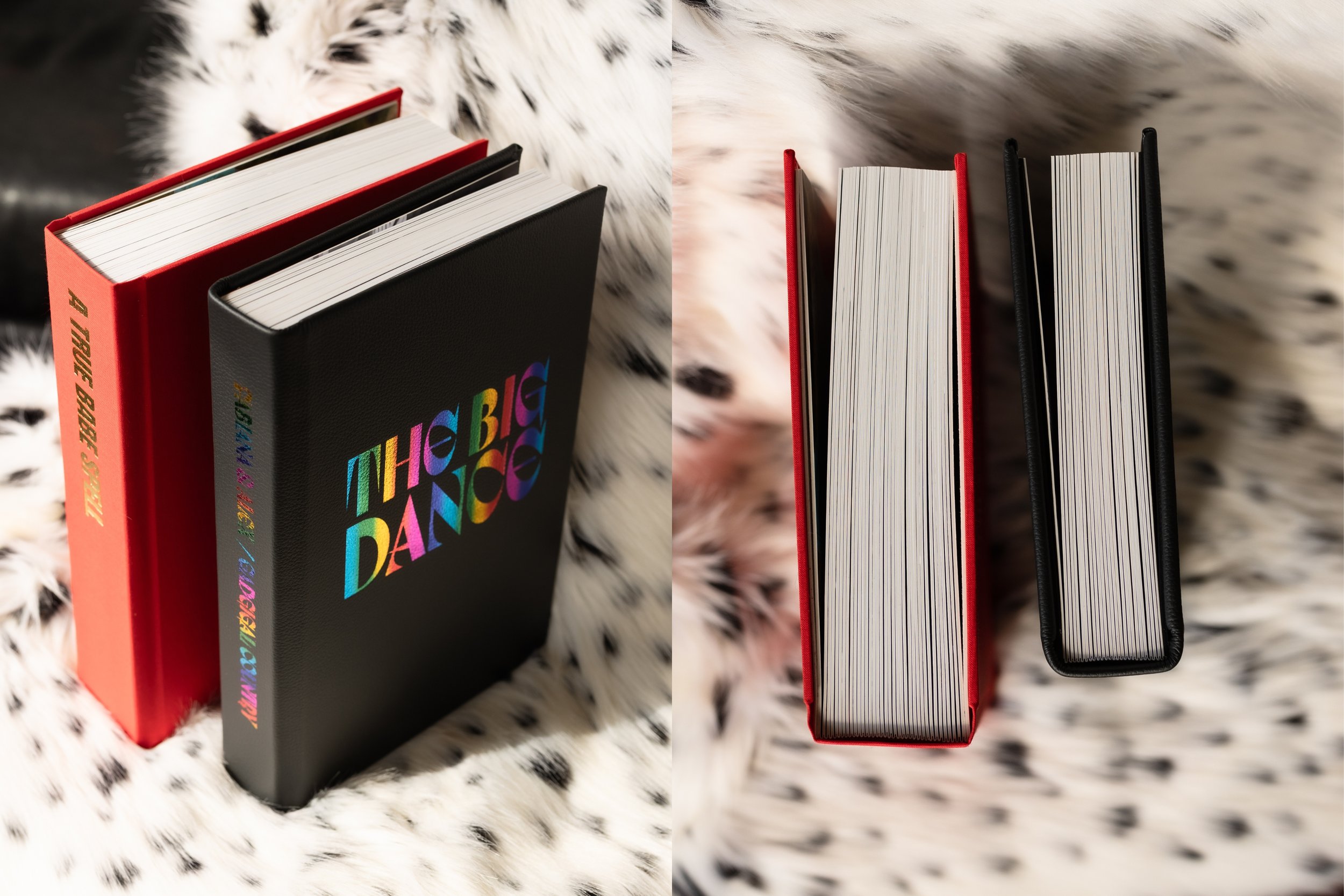 Two notebooks placed on a soft, spotted furry surface. The left notebook has a red cover with the colorful words 'THE BIG BOOK' on the spine, while the right notebook has black and red covers with visible white pages and black covers.